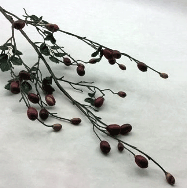 rosehip.gif