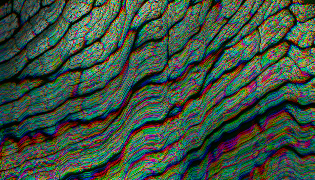 2878318891099f2b8458550bfbd87438 copy.jpg