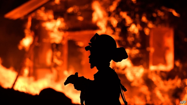 Image Courtesy AFP