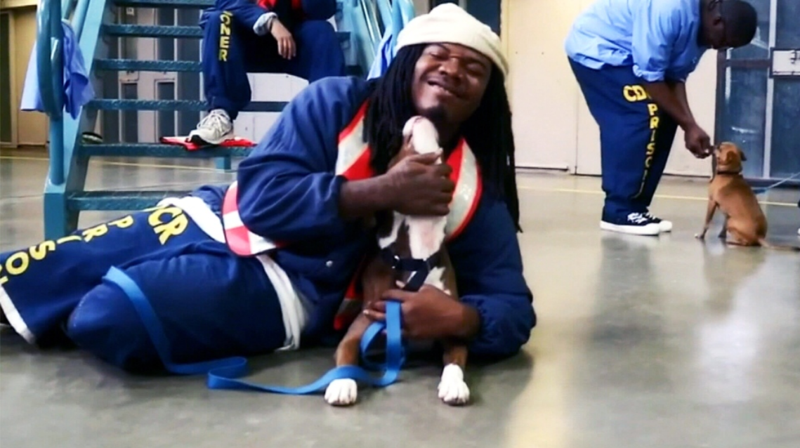 Prison inmates are seen with rescue dogs from the Pawsitive Change program.