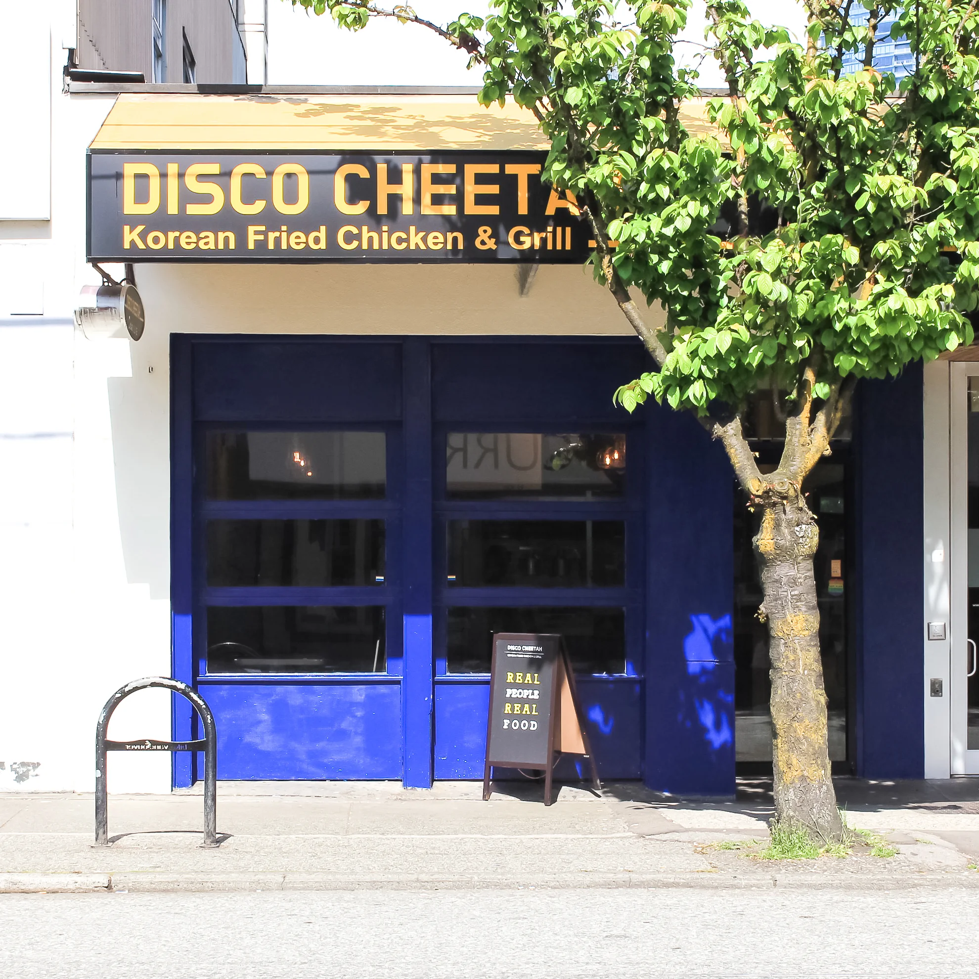 discocheetah-homepage.jpg