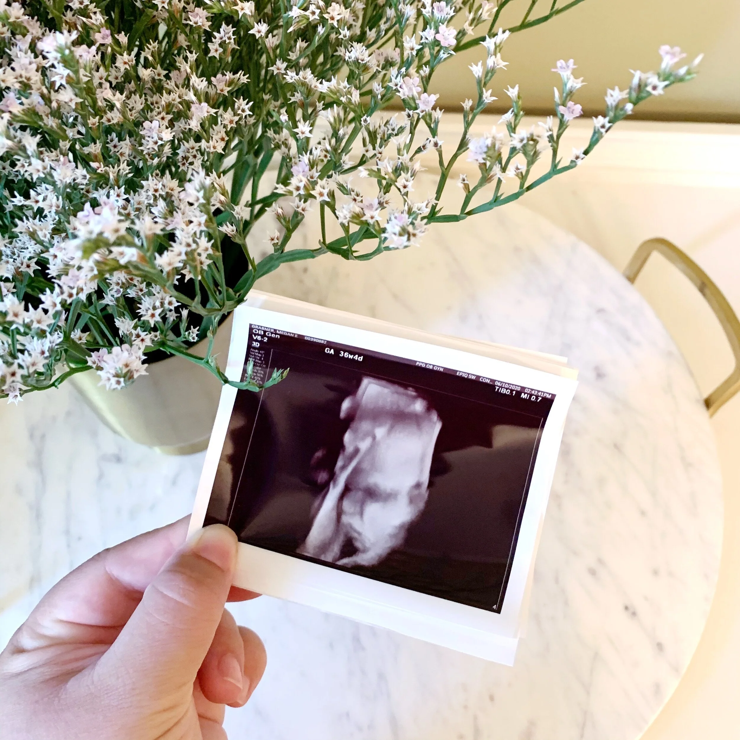 Third Trimester ||  Pregnancy Diaries   