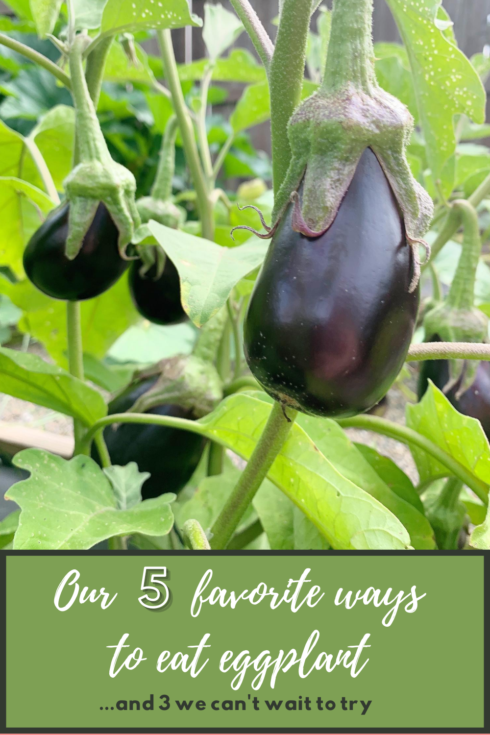 5 Ways We Love to Eat Eggplant + 3 We can’t wait to try! — Stitches & folly