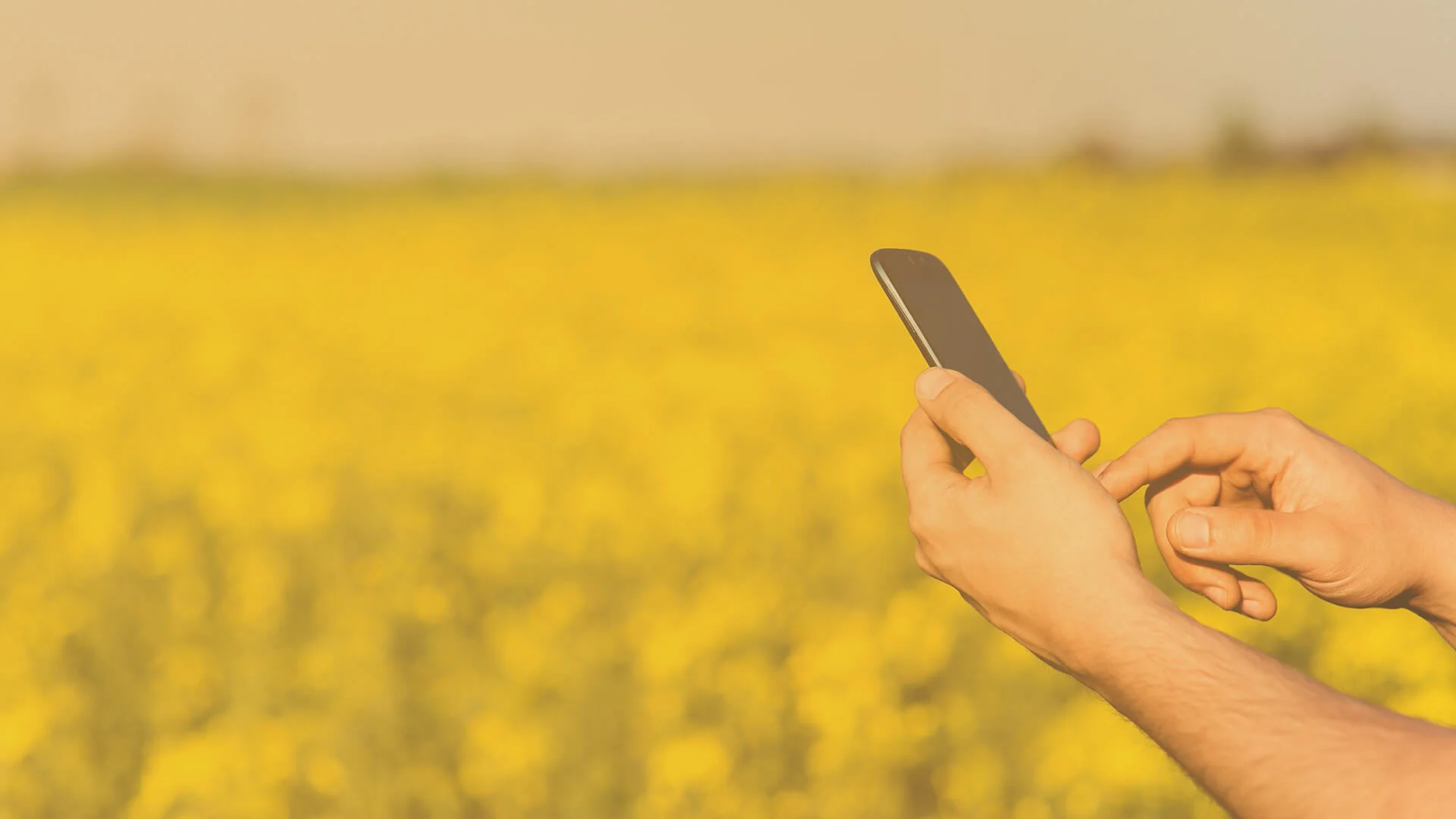 cell-phone-field.jpg
