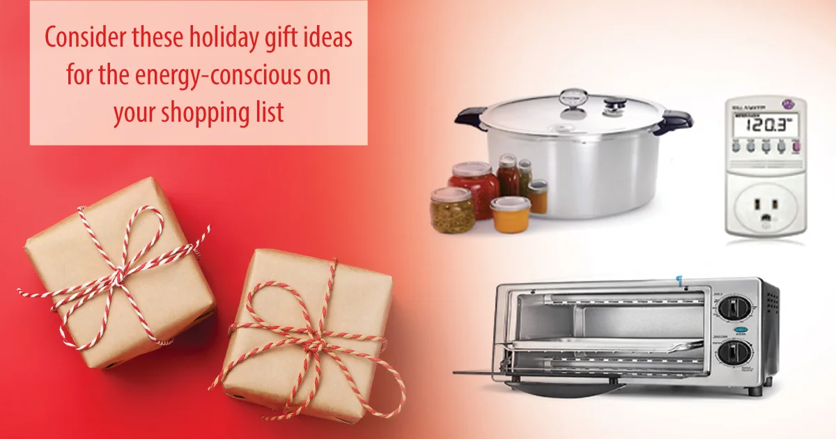 Holiday Gift Ideas for the Energy Conscious