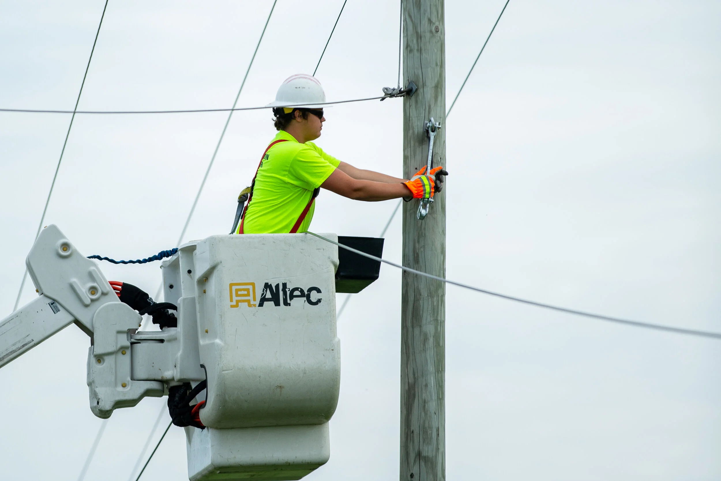 Sunshine and Steady Progress: A Summertime Update from the Field