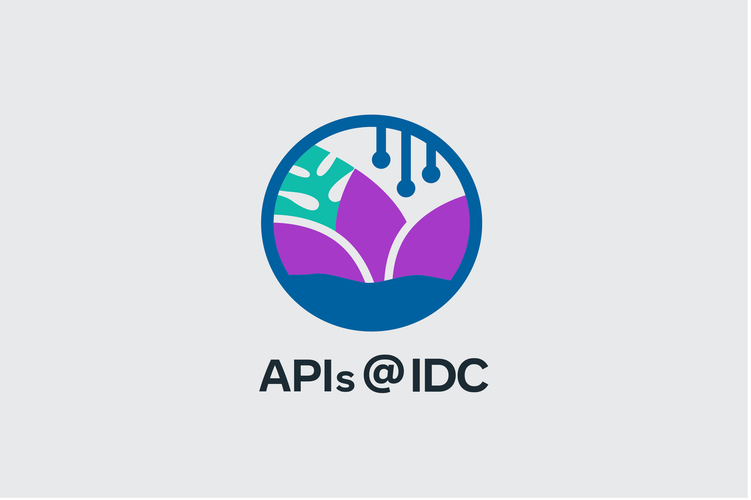 API-IDC_Thumbnail.png