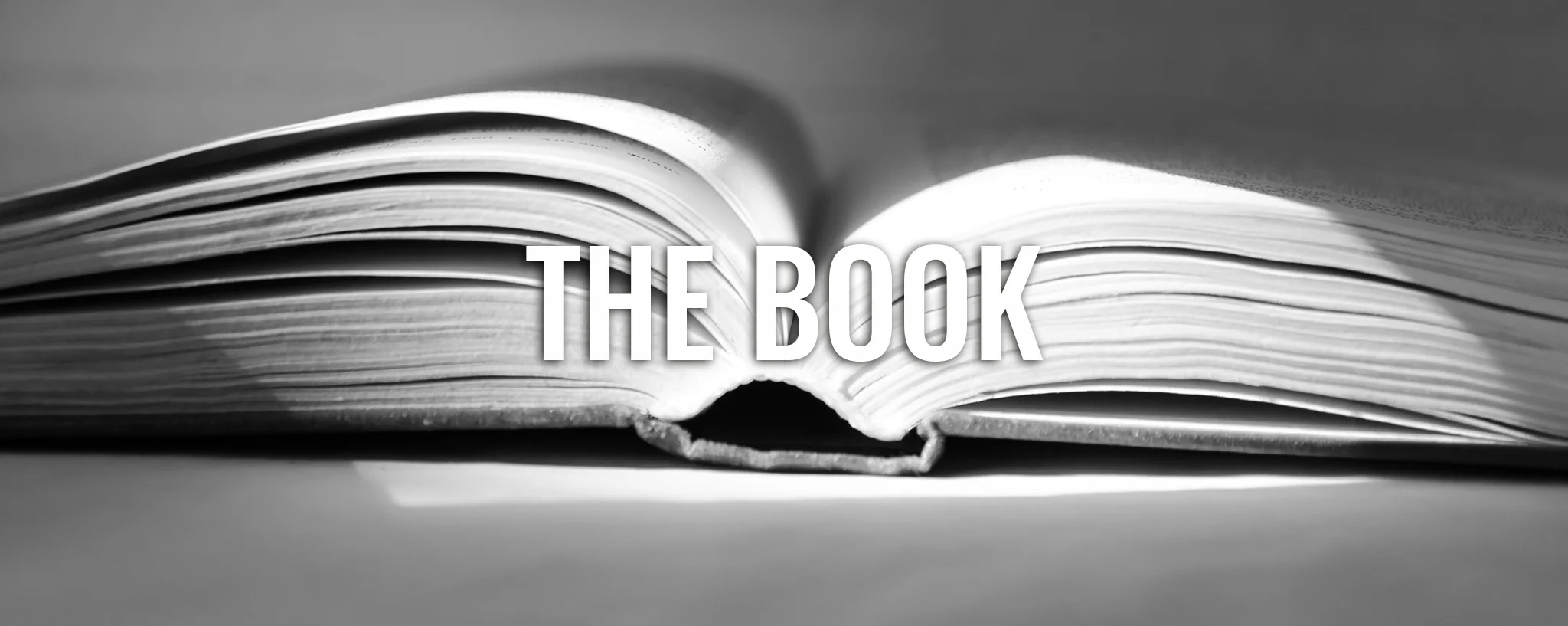 FINAL_BOOK.jpg
