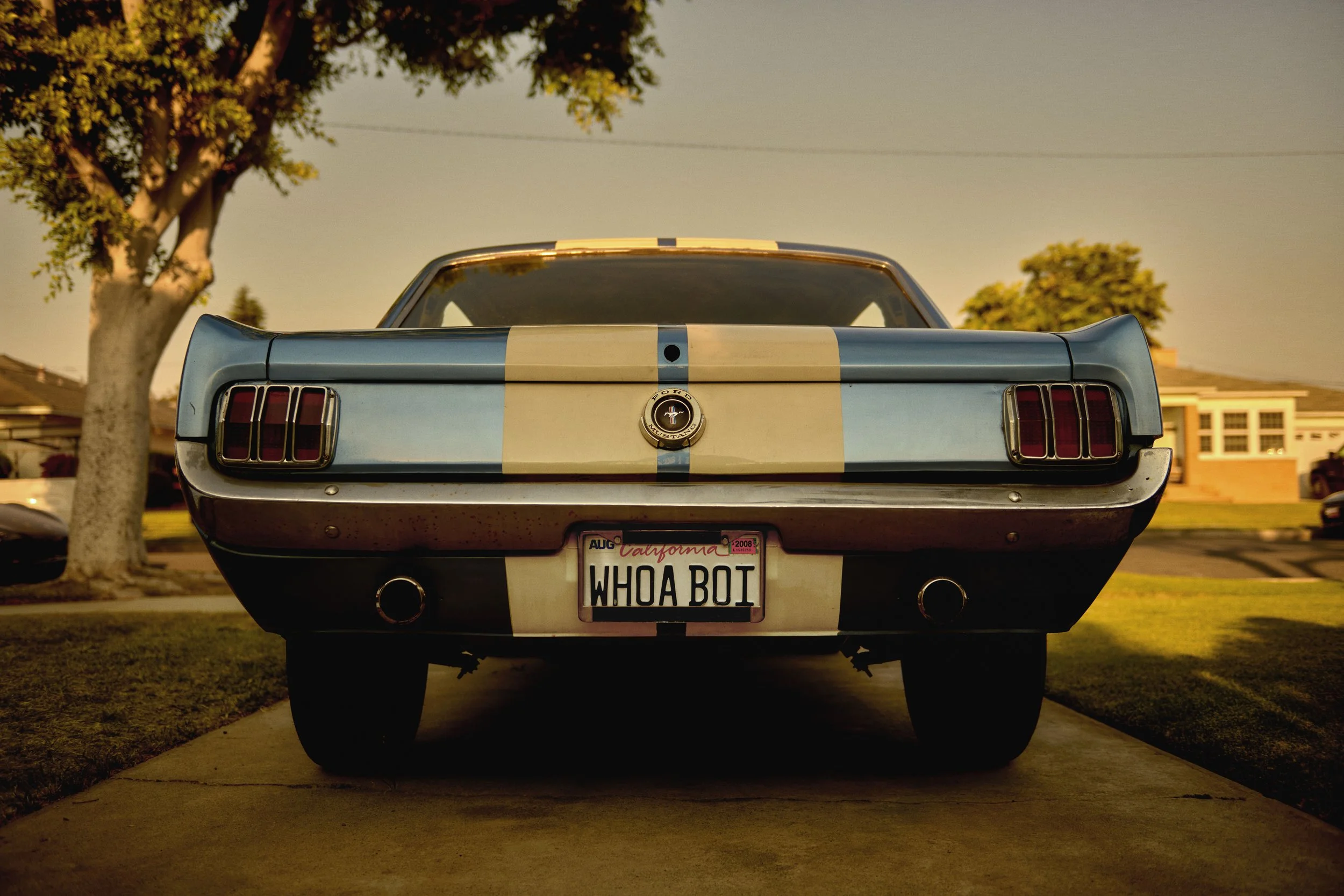 FRDNSOCT0012_Ford_MustangStory_Gynai_00580_01_E_RGB.jpg