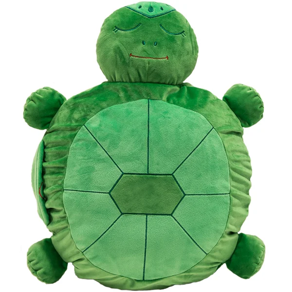 Turtle_web.jpg