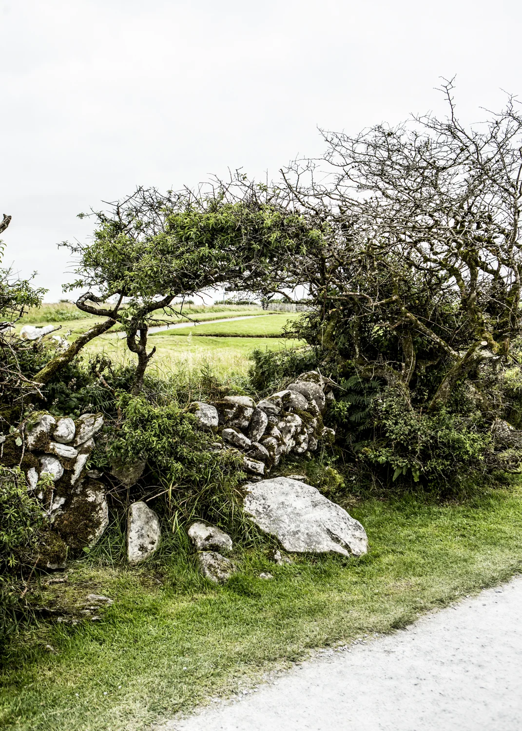 kq_ireland (33 of 51).jpg