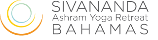SAYR-logo-2.png