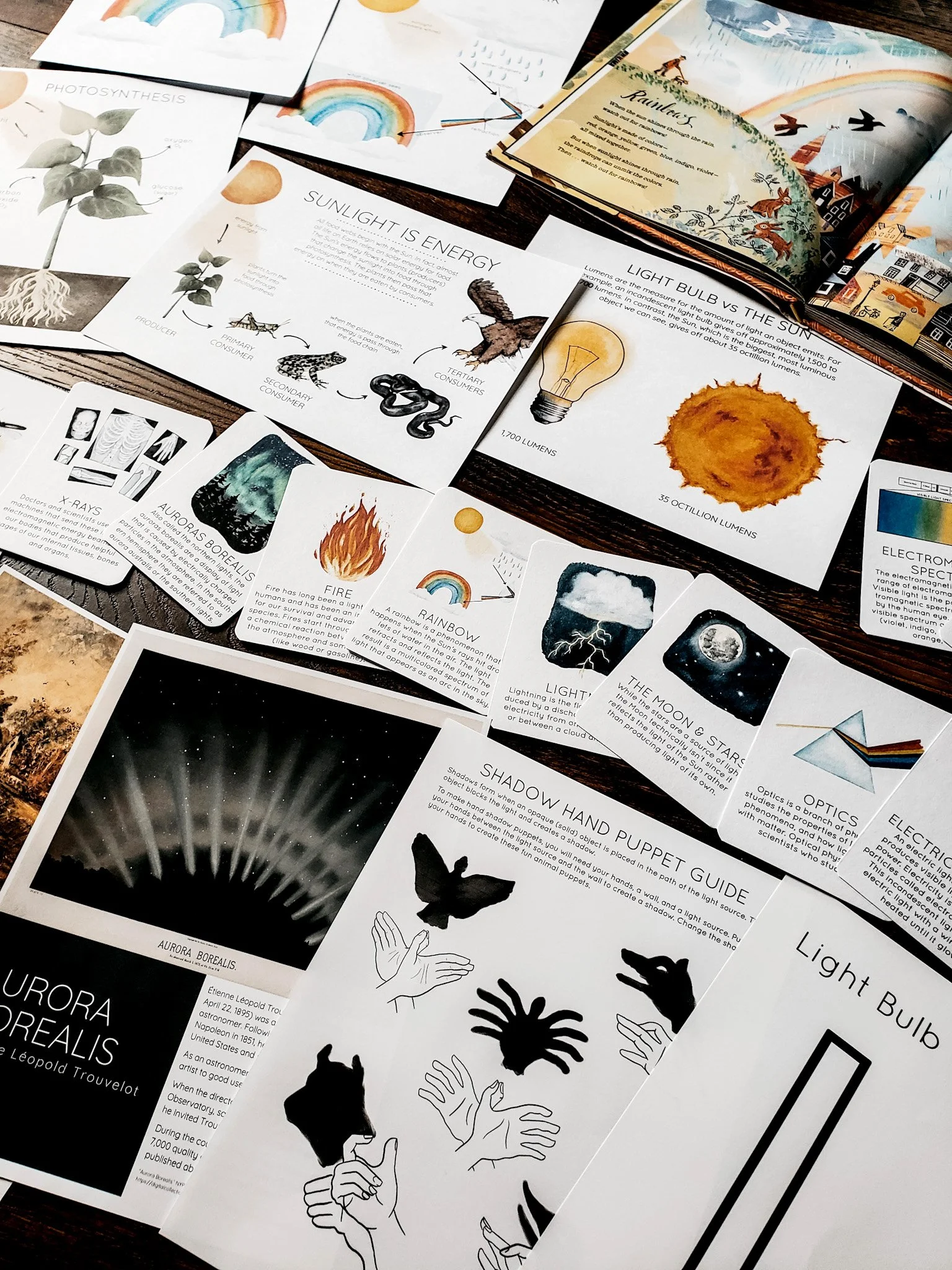 Flat lay image of the Light Unit Study materials arranged on a flat surface, displaying illustrated pages about light.