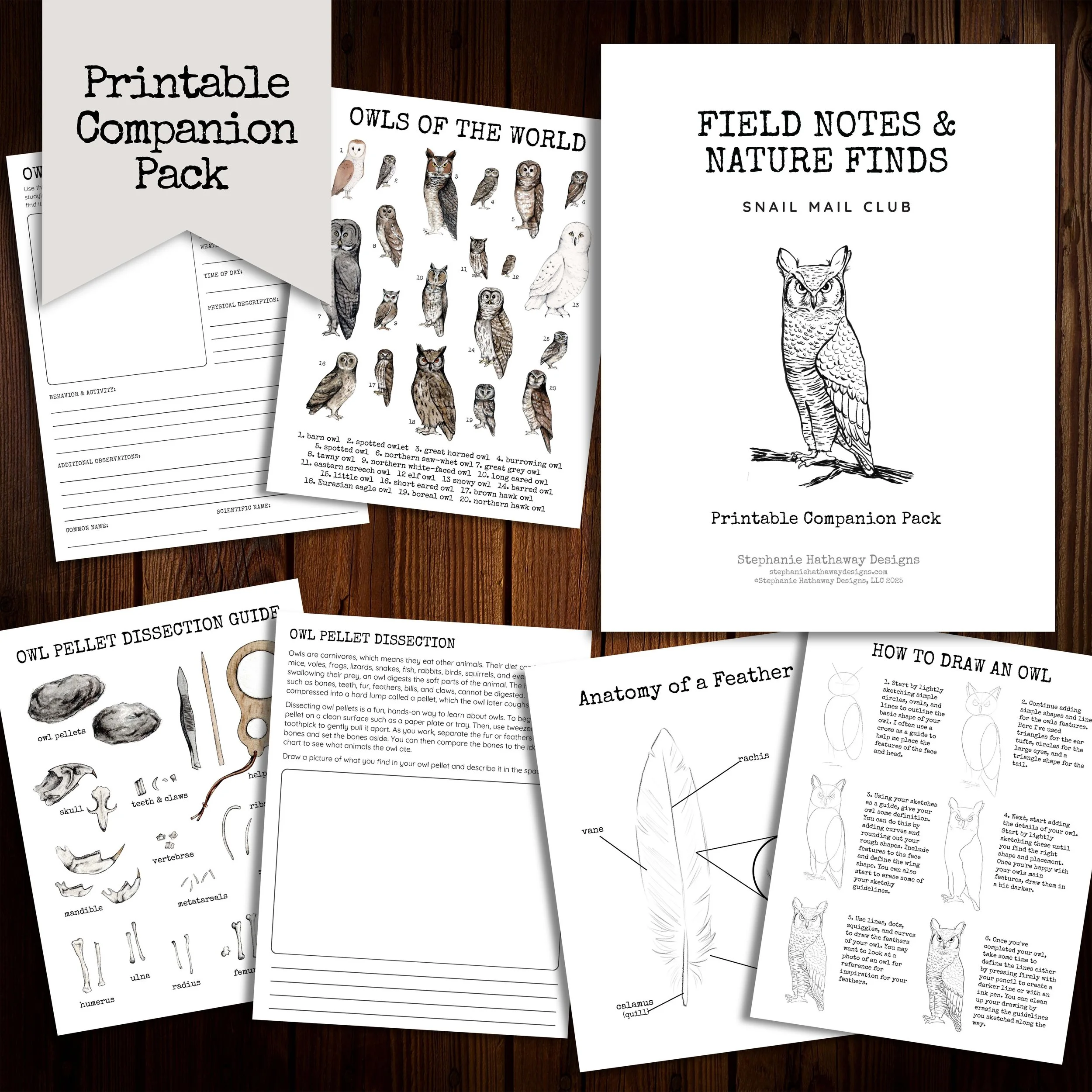 Field Notes & Nature Finds Digital Companion Mockup.jpg