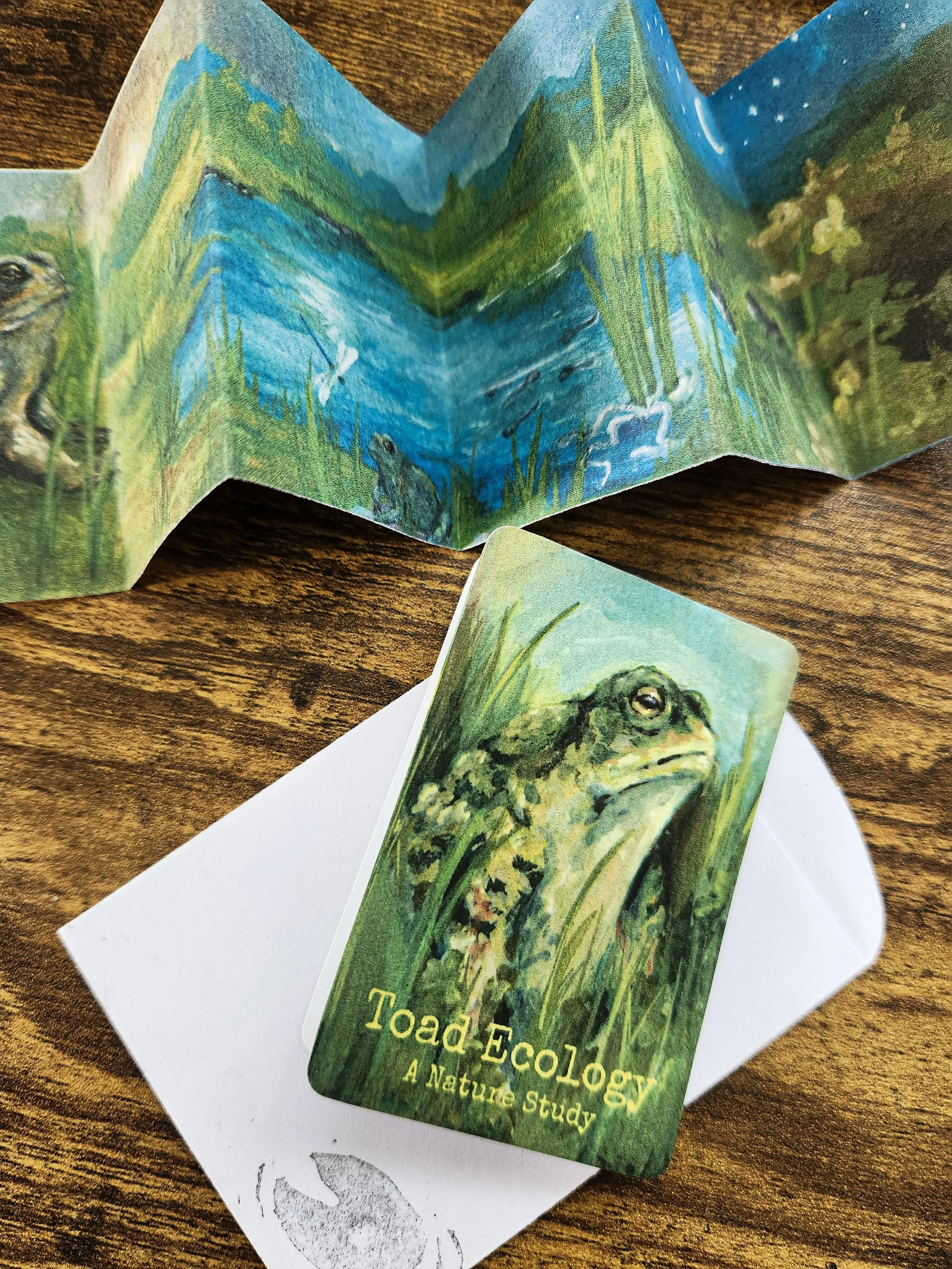 Close-up of illustrated concertina booklet featuring toad ecology