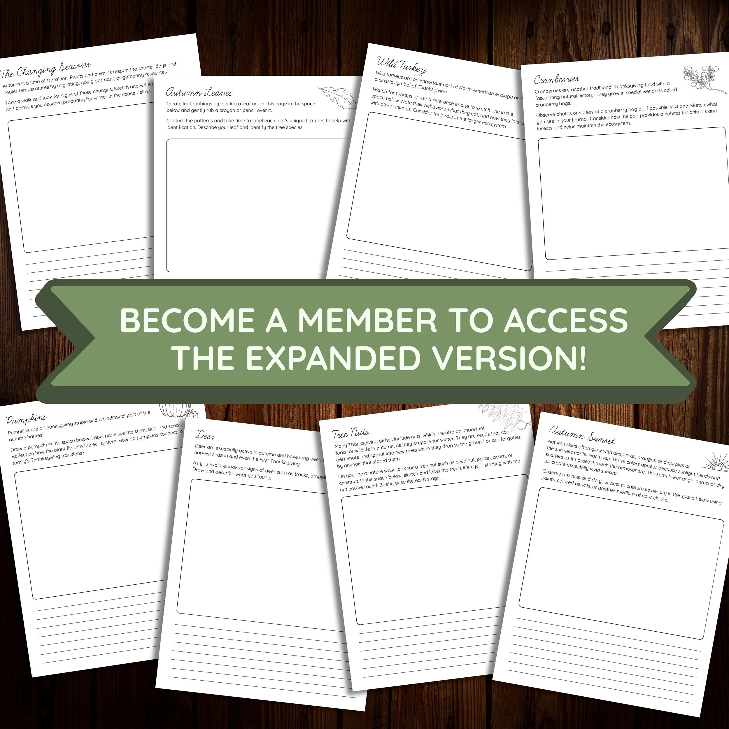 Expanded Version.jpg