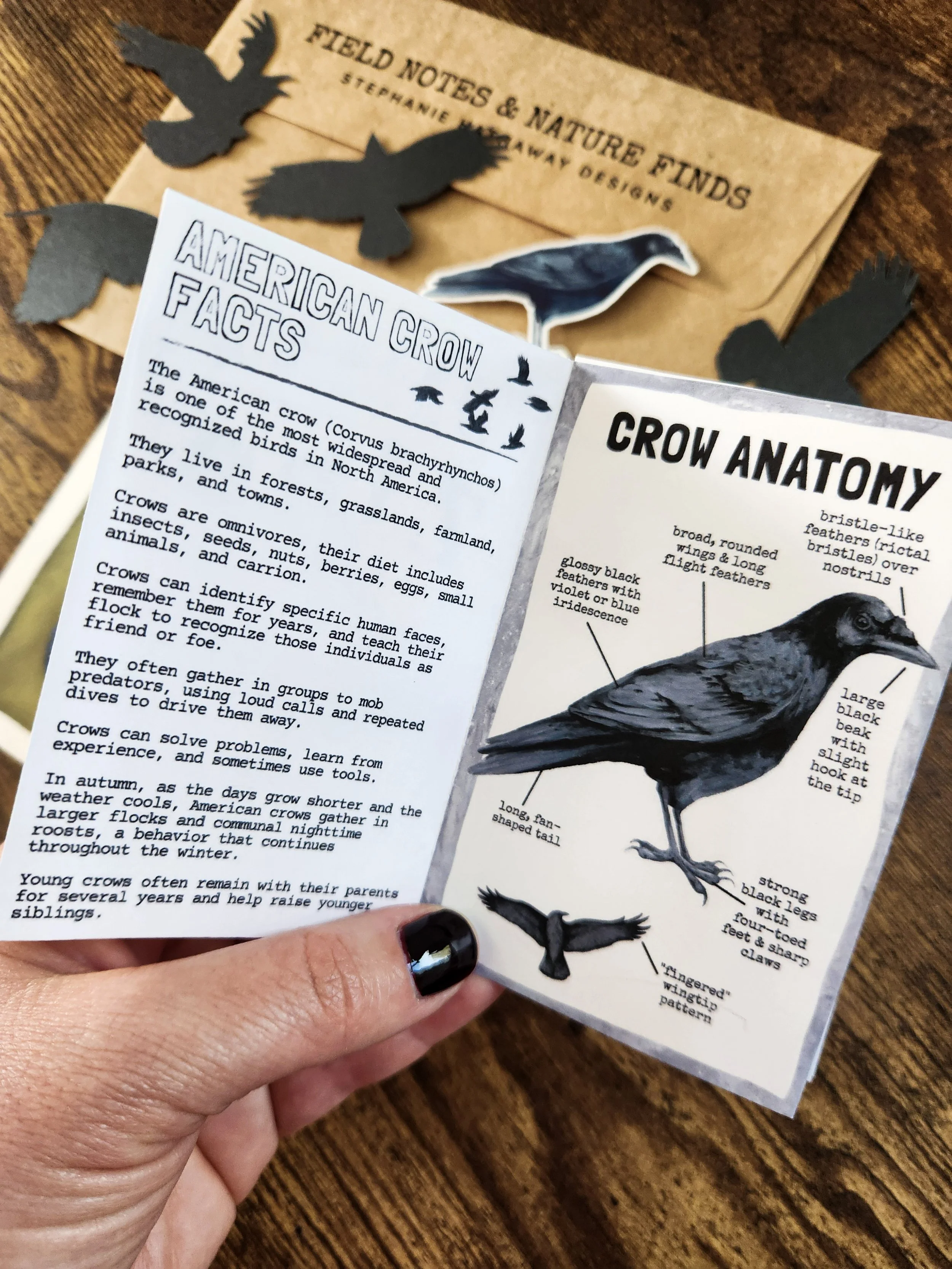 12-20261016_100723.jpg