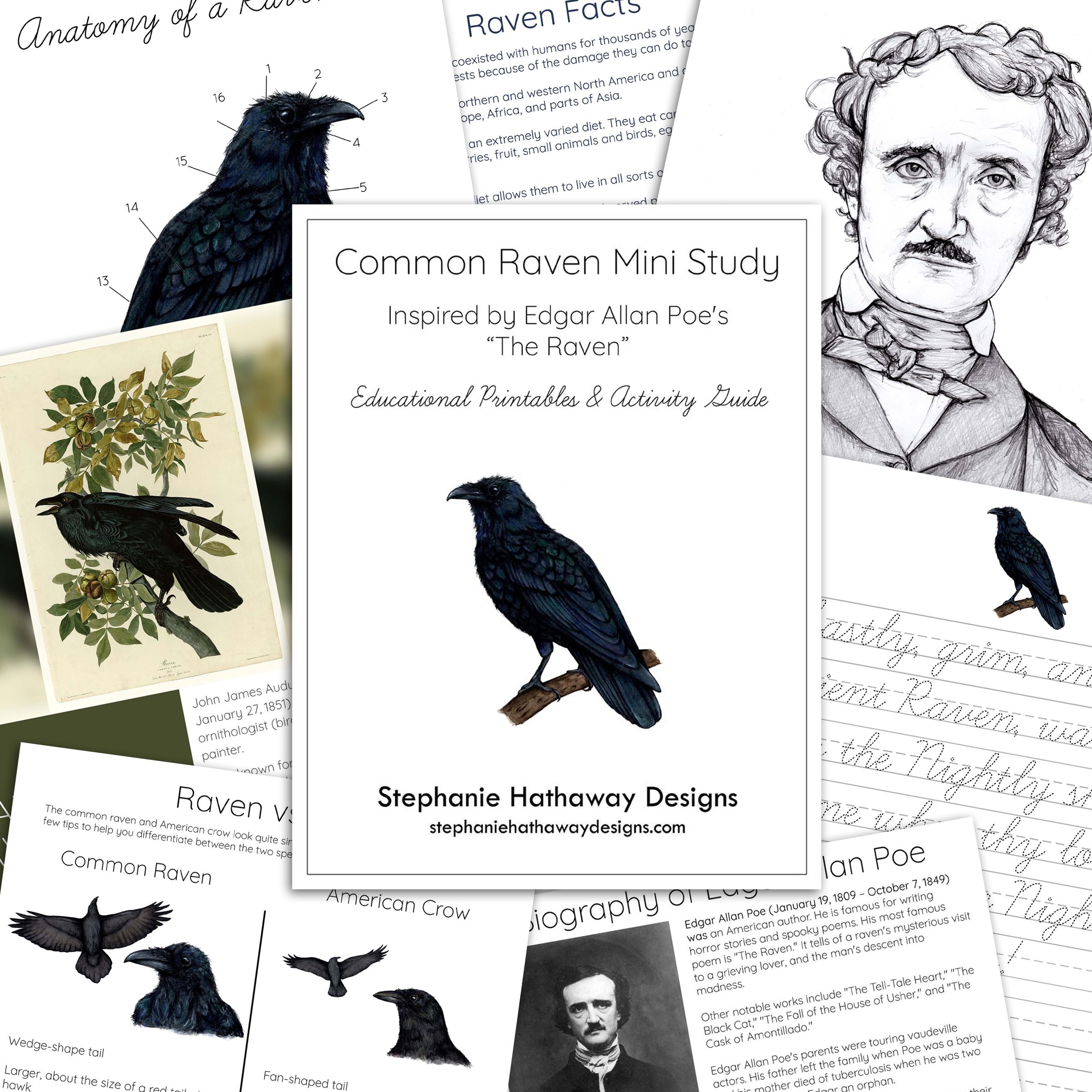 The Common Raven Mini Unit Study