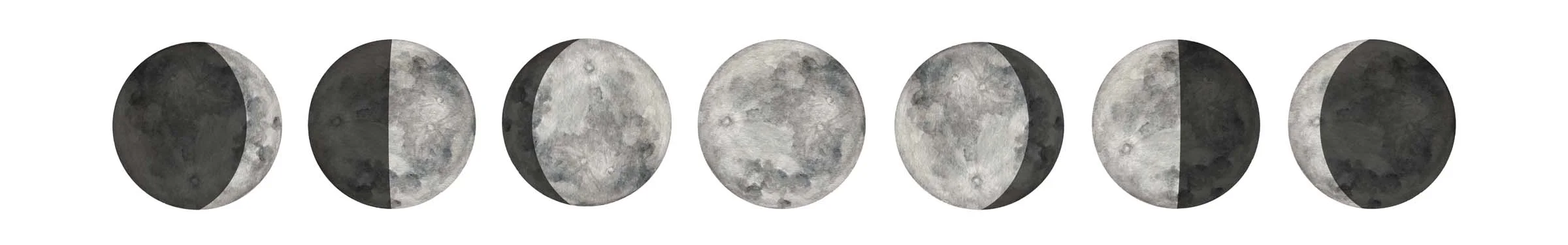 Moon Phases Clip Art.jpg