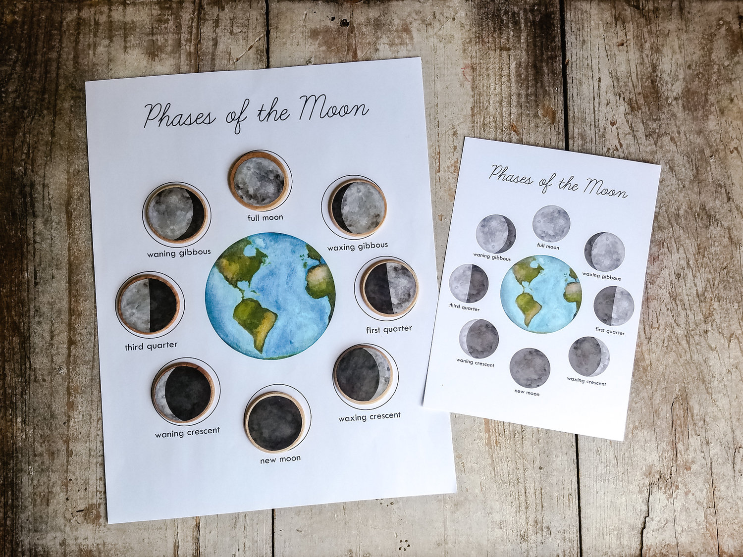 Moon Phases Project FREEBIE