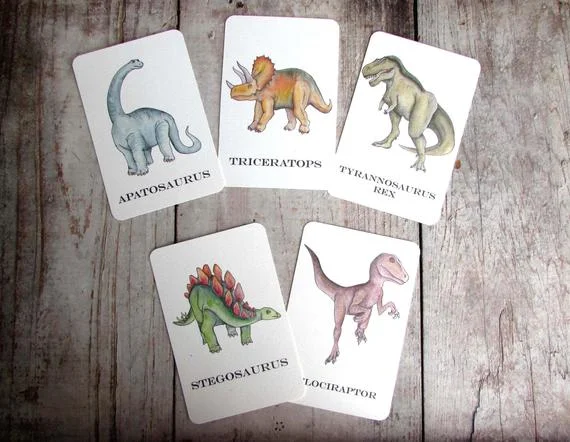 Dinosaur Flash Cards Stephanie Hathaway Designs