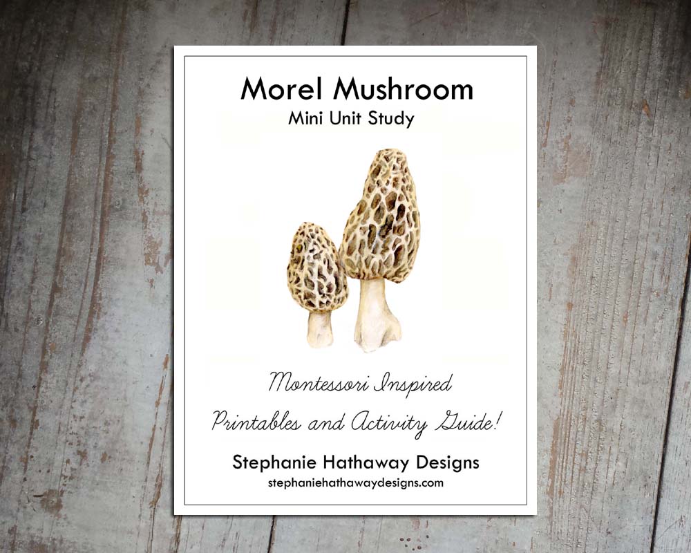 Morel Listing Pic.jpg