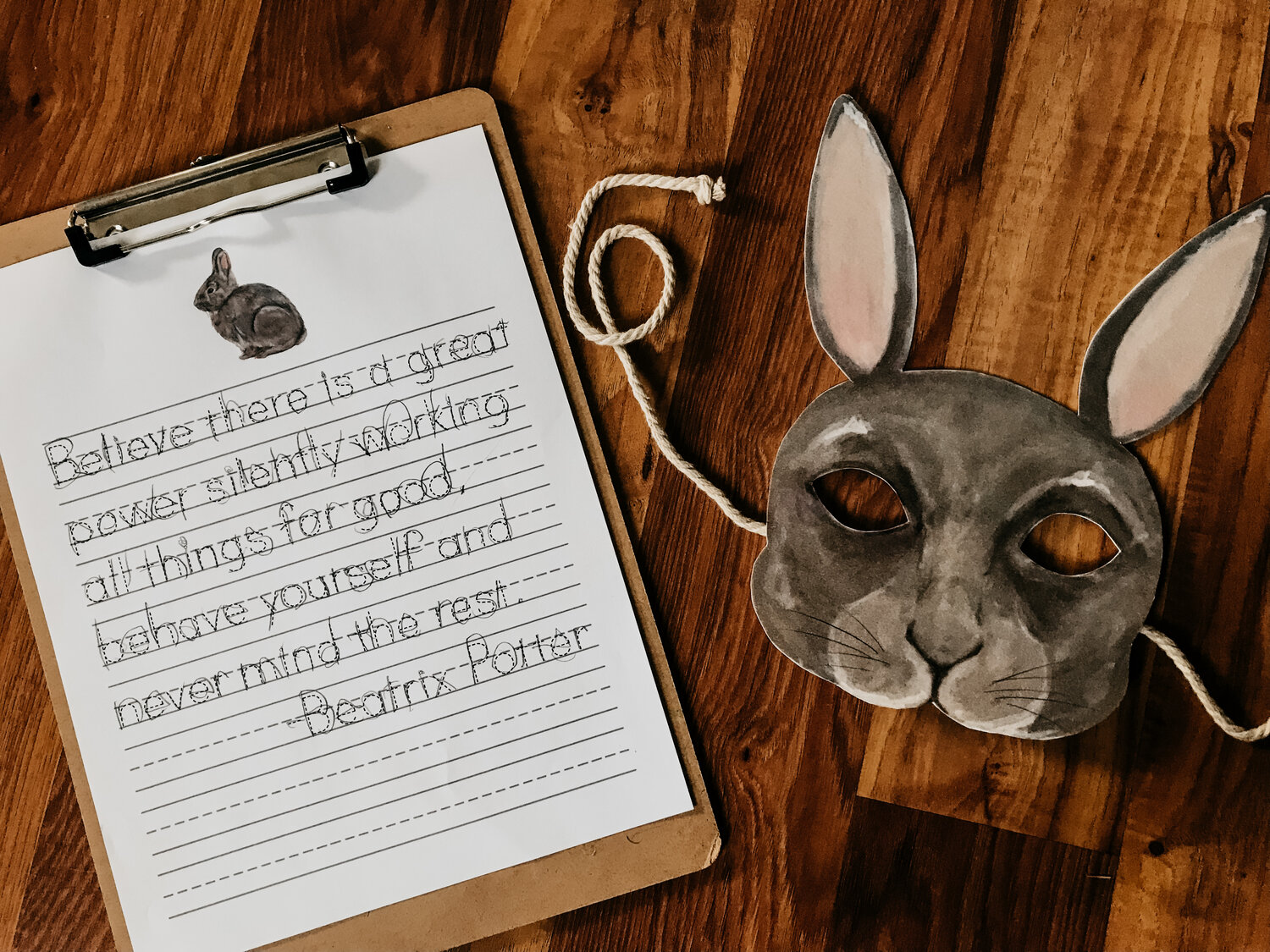 Eastern Cottontail Mini Study — Stephanie Hathaway Designs