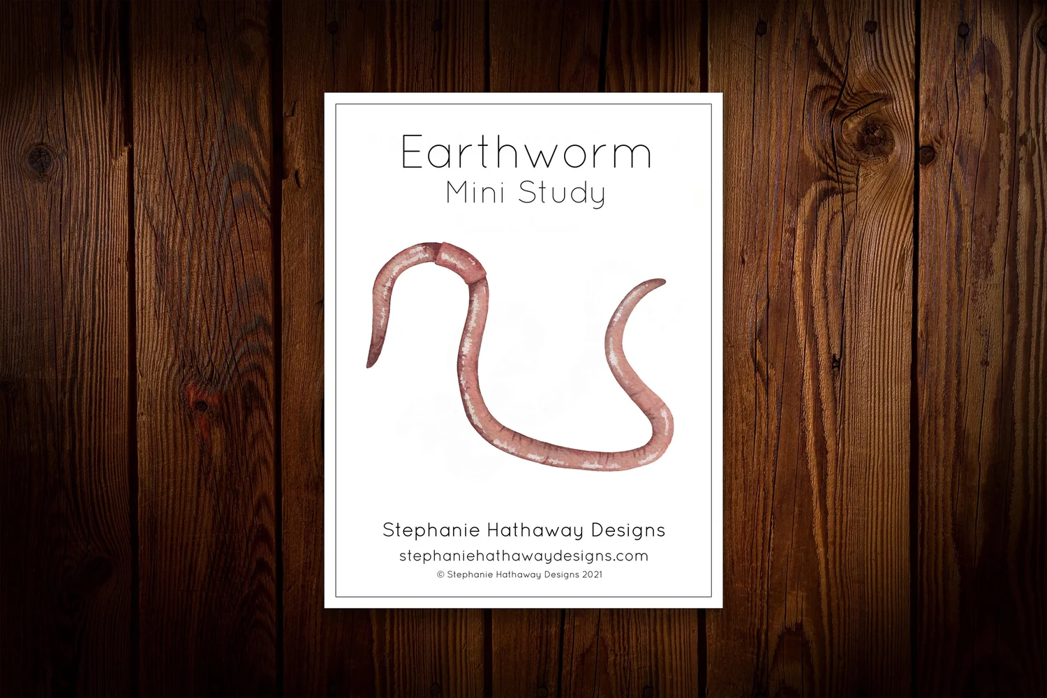 Earthworm Morphology Journal