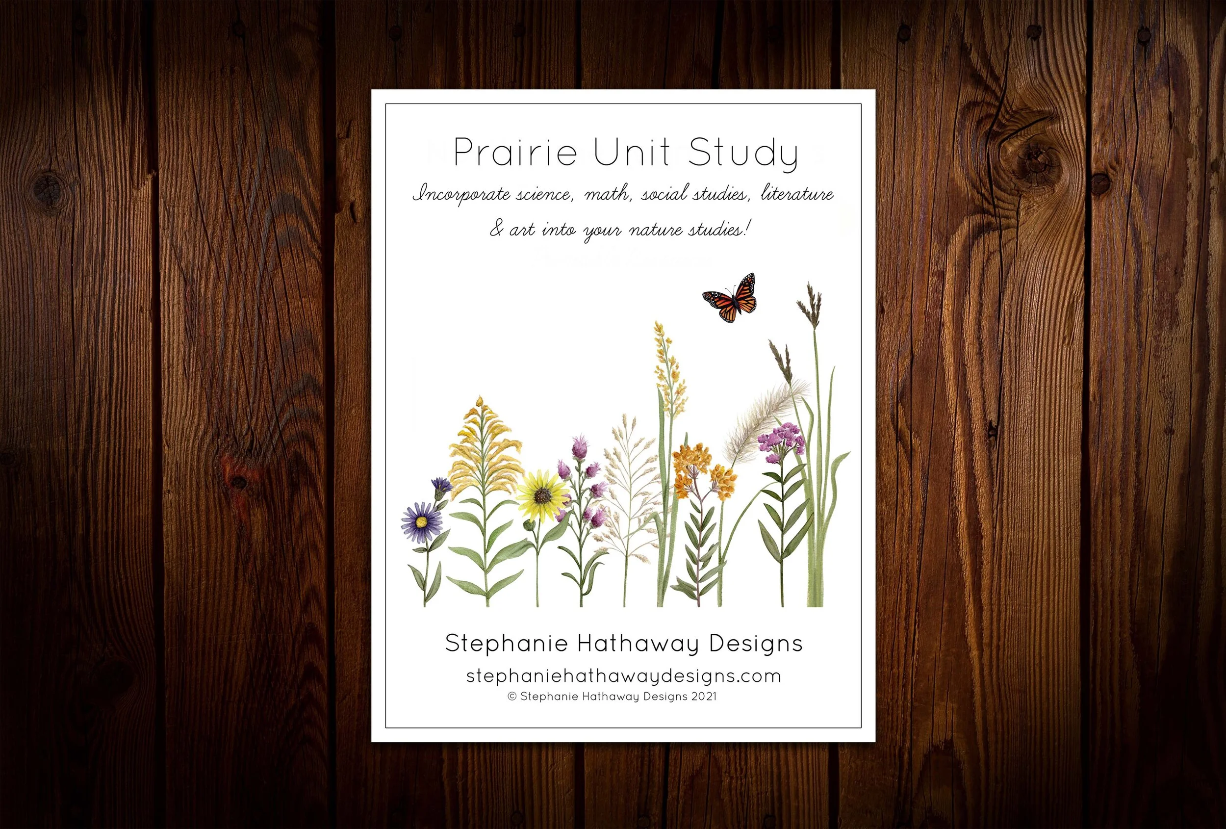 Temperate Forest Unit Study — Stephanie Hathaway Designs