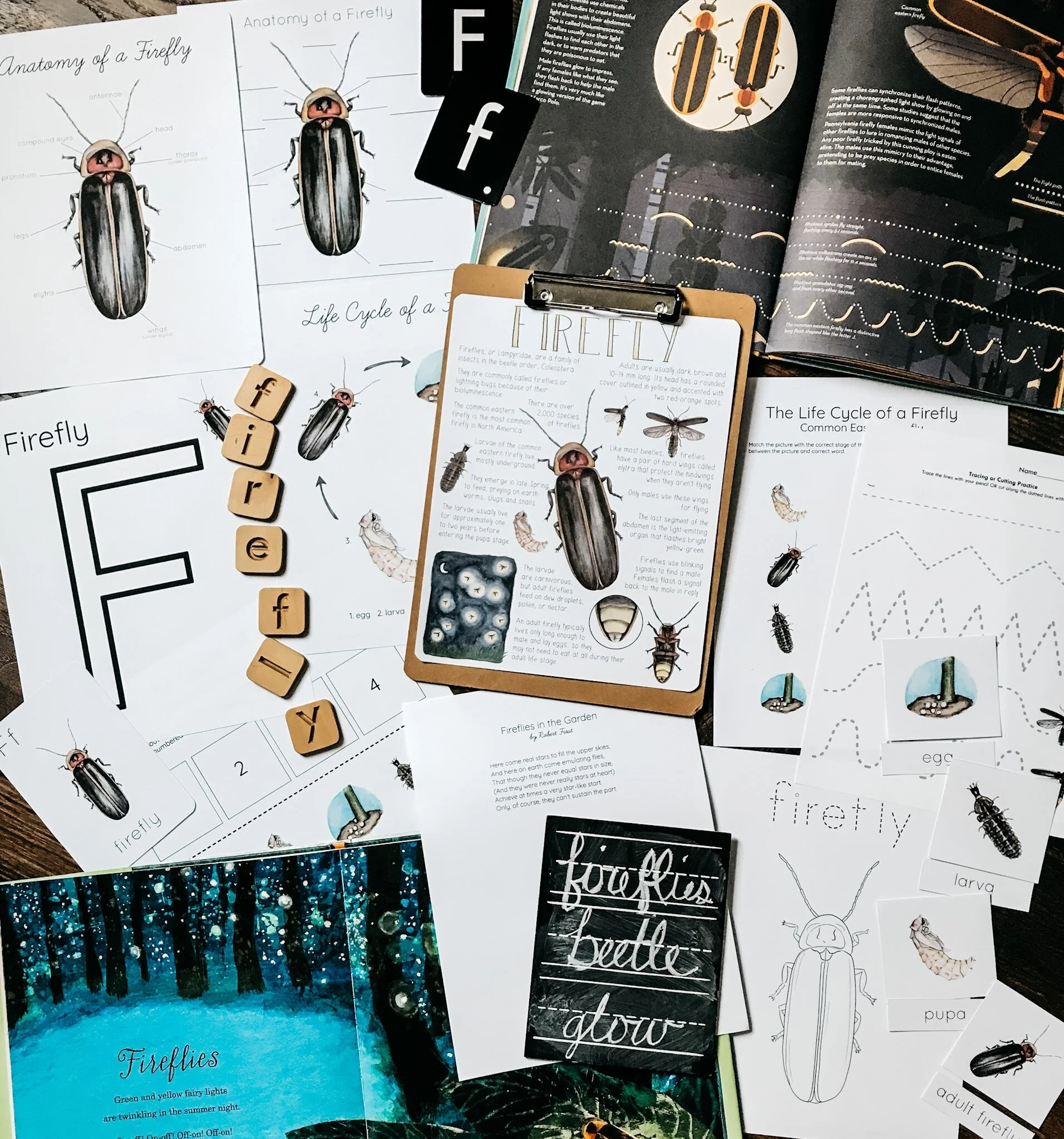 Bee Unit Study — Stephanie Hathaway Designs
