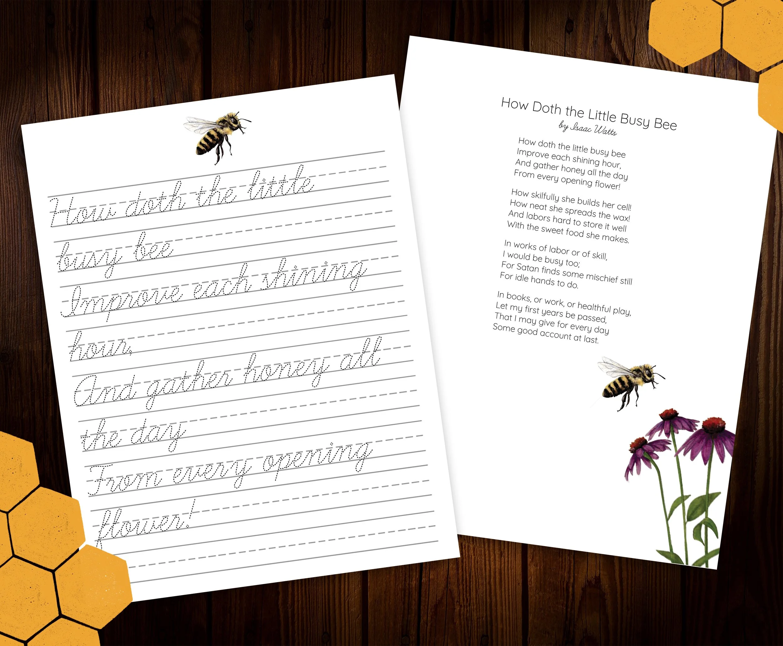 Minibeast Nature Study Vol. 1 — Stephanie Hathaway Designs
