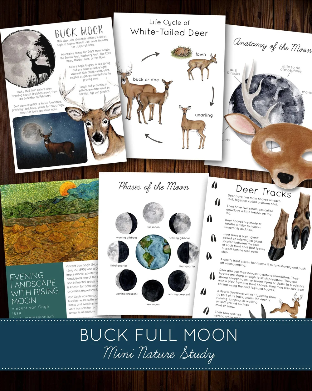 Essential Tools for Spring Nature Study