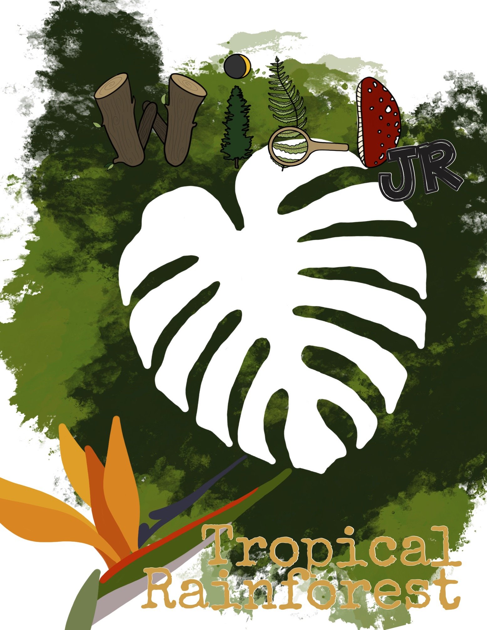WILD-MAG-JR-Tropical-Rainforest-COVER.jpg