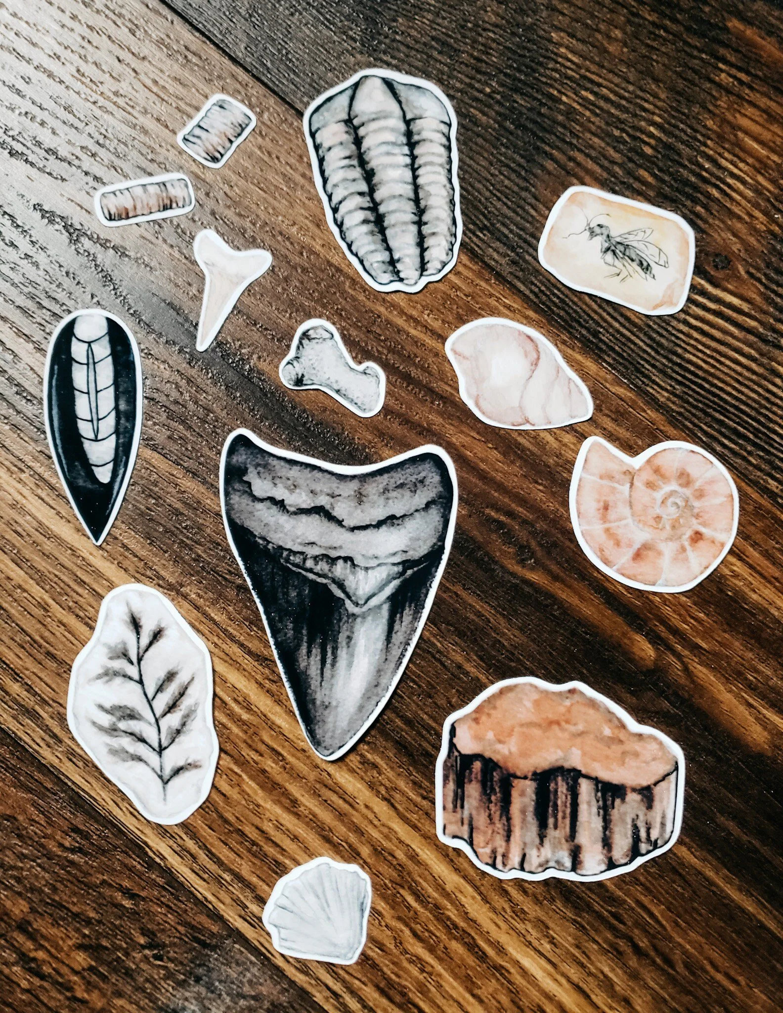 https://i.etsystatic.com/10618790/r/il/5d0467/4633458326/il_fullxfull.4633458326_5p4k.jpg