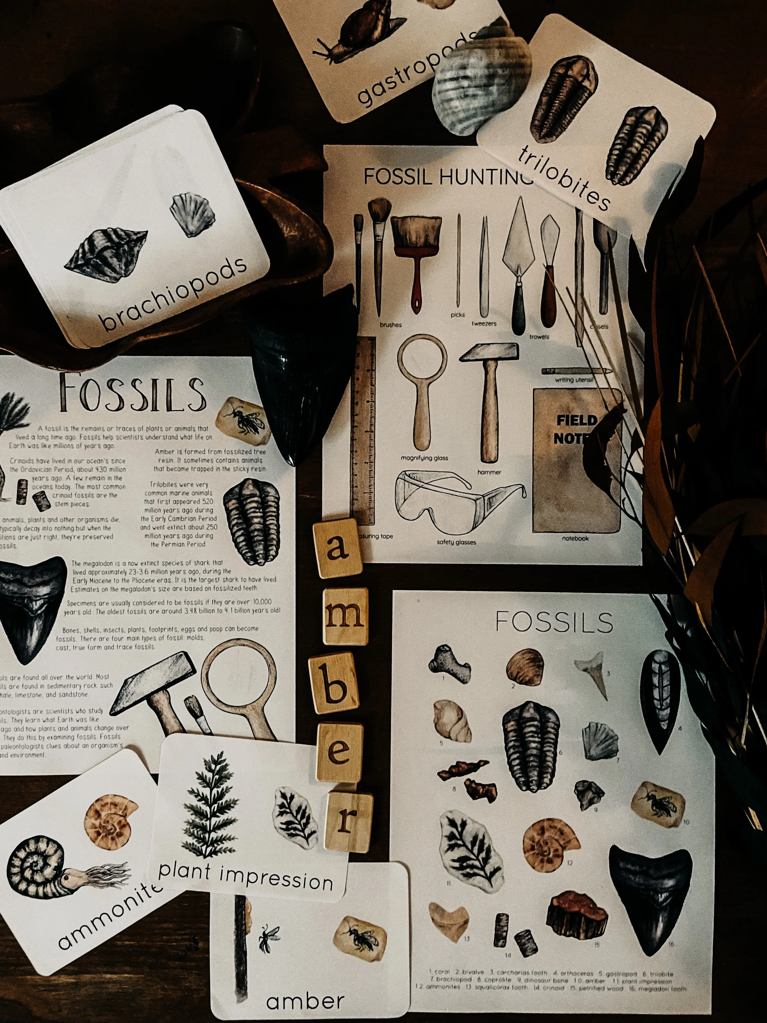 Steph Hathaway Designs 1.jpg