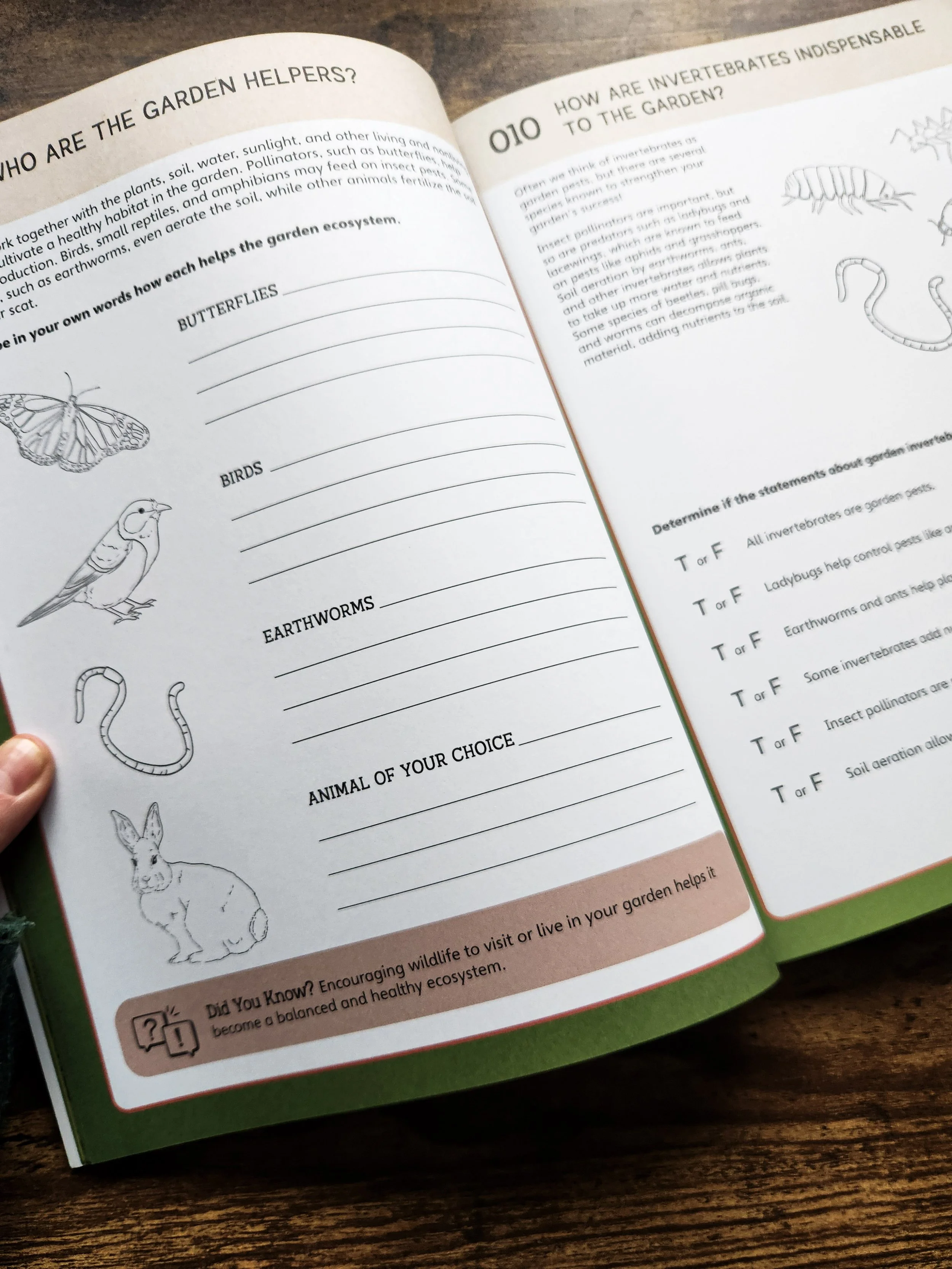  Workbook activity page exploring beneficial garden helpers and invertebrates that support a healthy garden ecosystem. 