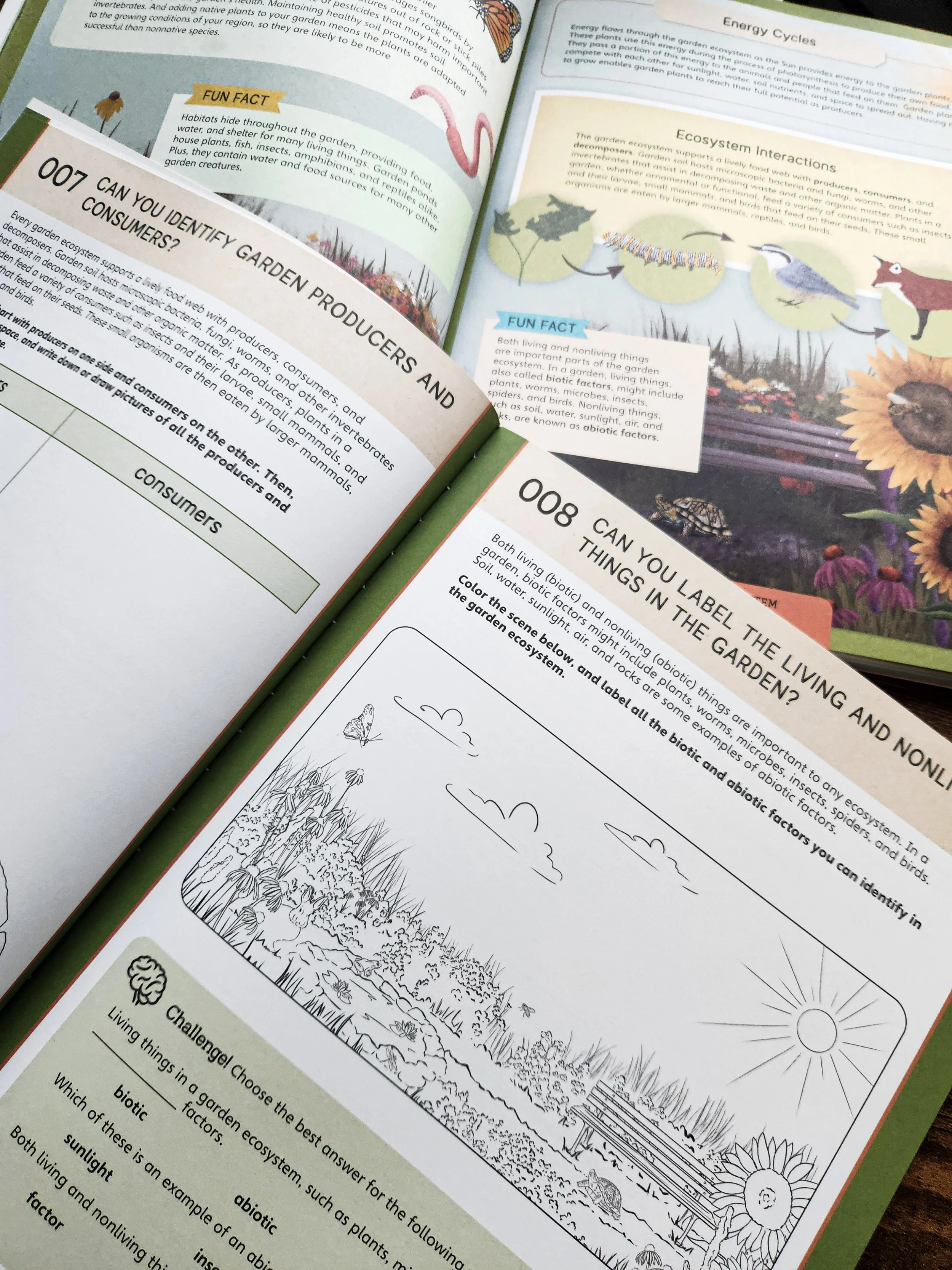   Nature School: In the Garden  shown alongside a matching workbook page, demonstrating how the book lessons pair with hands-on activities in the workbook. 