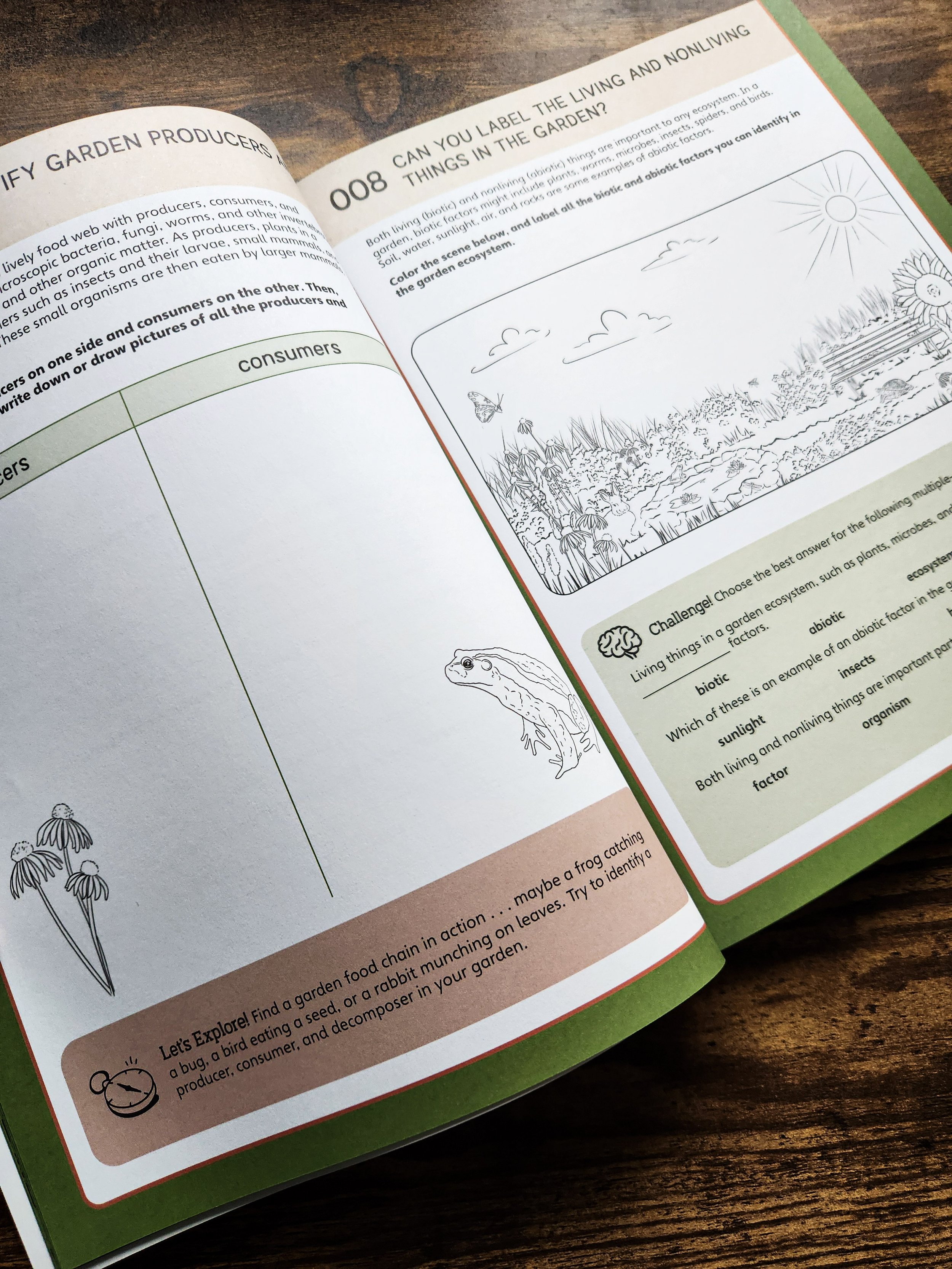  Workbook activity page where students identify producers and consumers and classify living and nonliving components of a garden ecosystem. 
