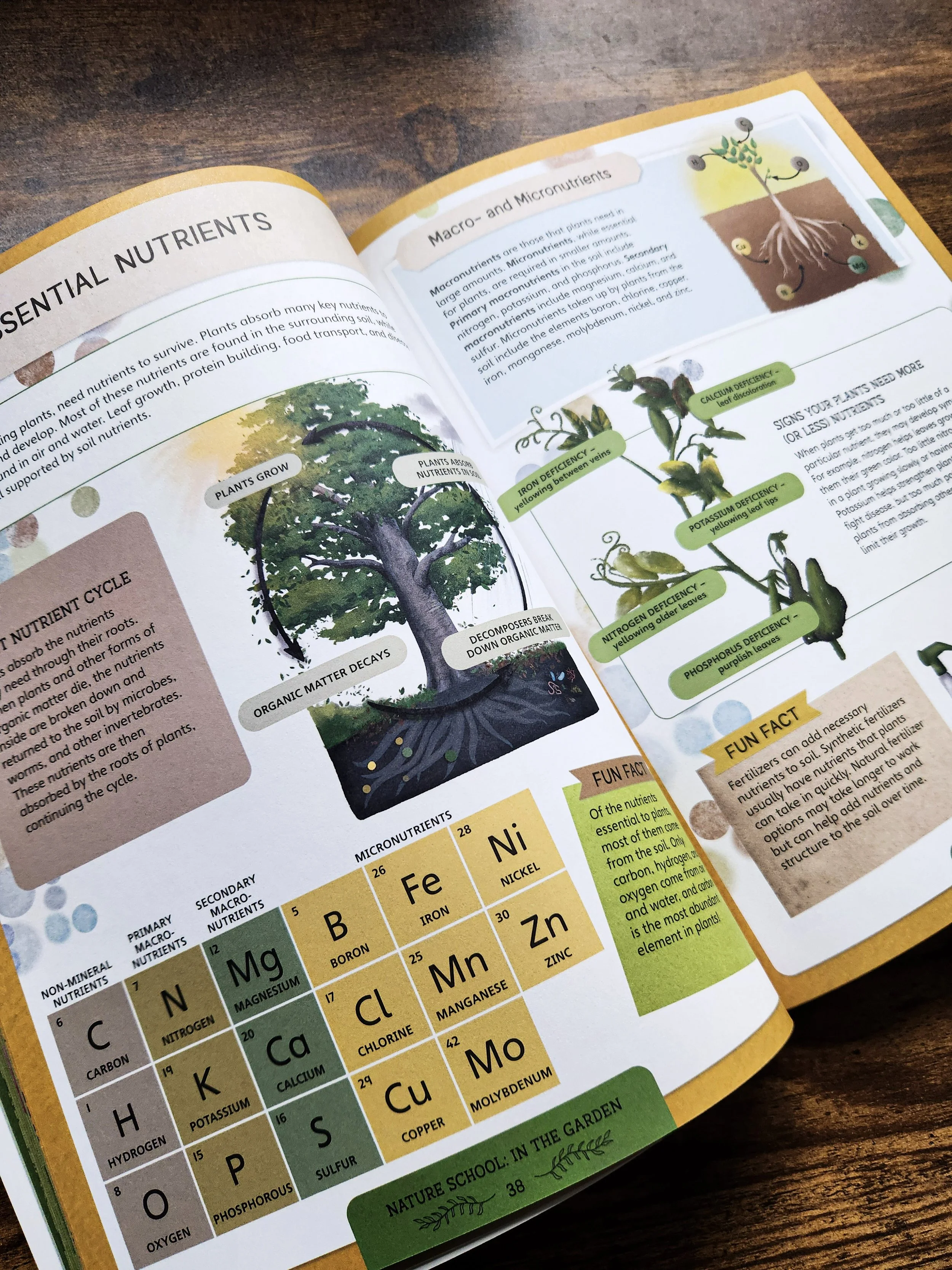  Book spread explaining essential plant nutrients, including macro- and micronutrients. 