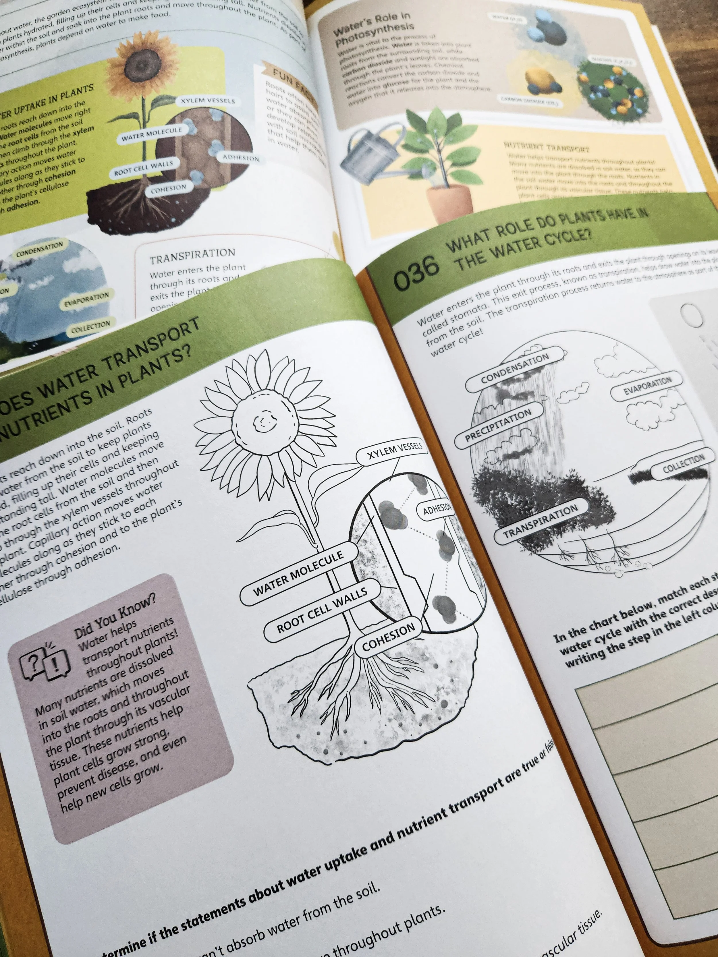   Nature School: In the Garden  shown alongside a matching workbook page, demonstrating how lessons pair with activities. 