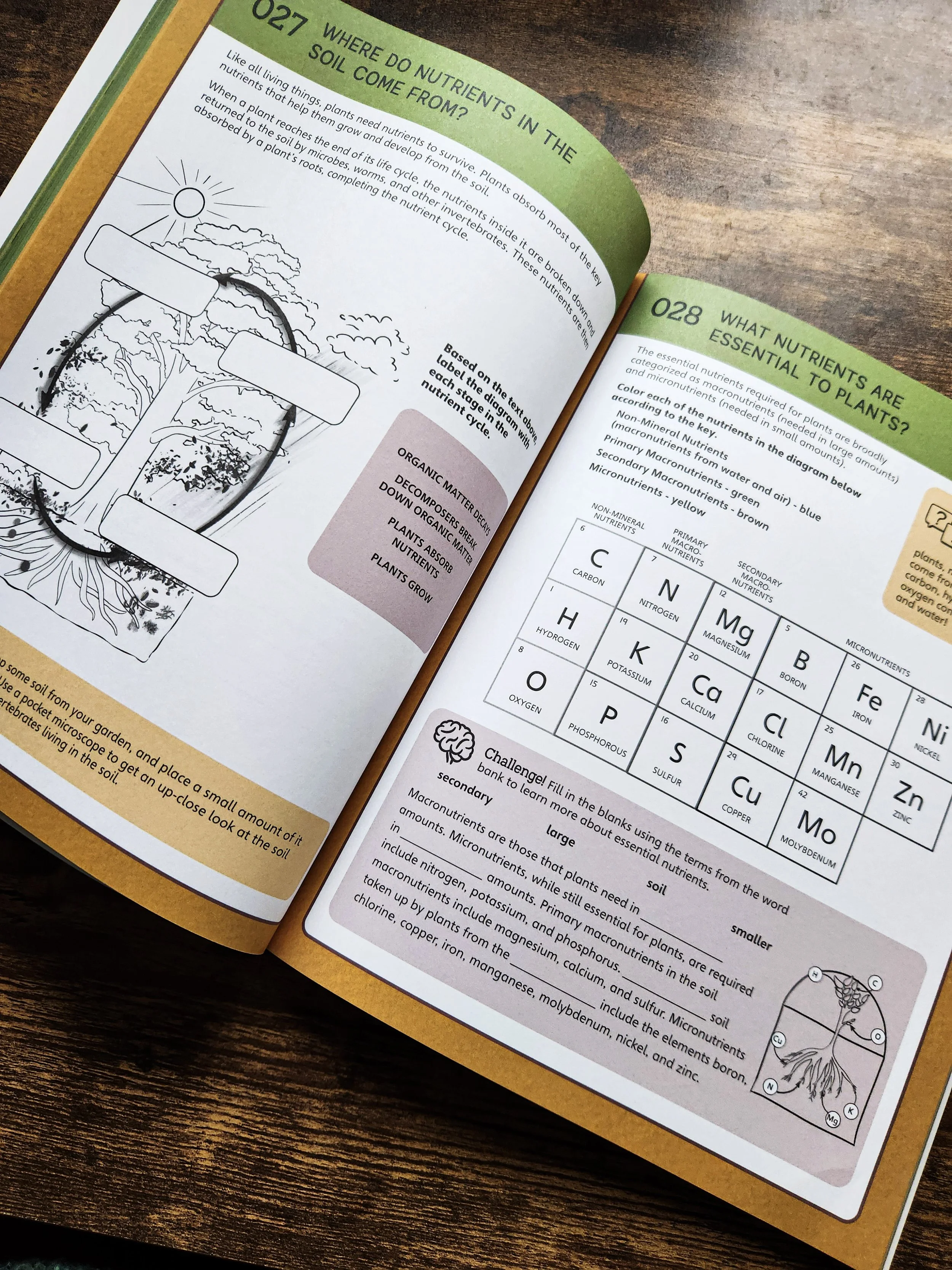  Workbook spread featuring activities about soil composition and soil structure. 