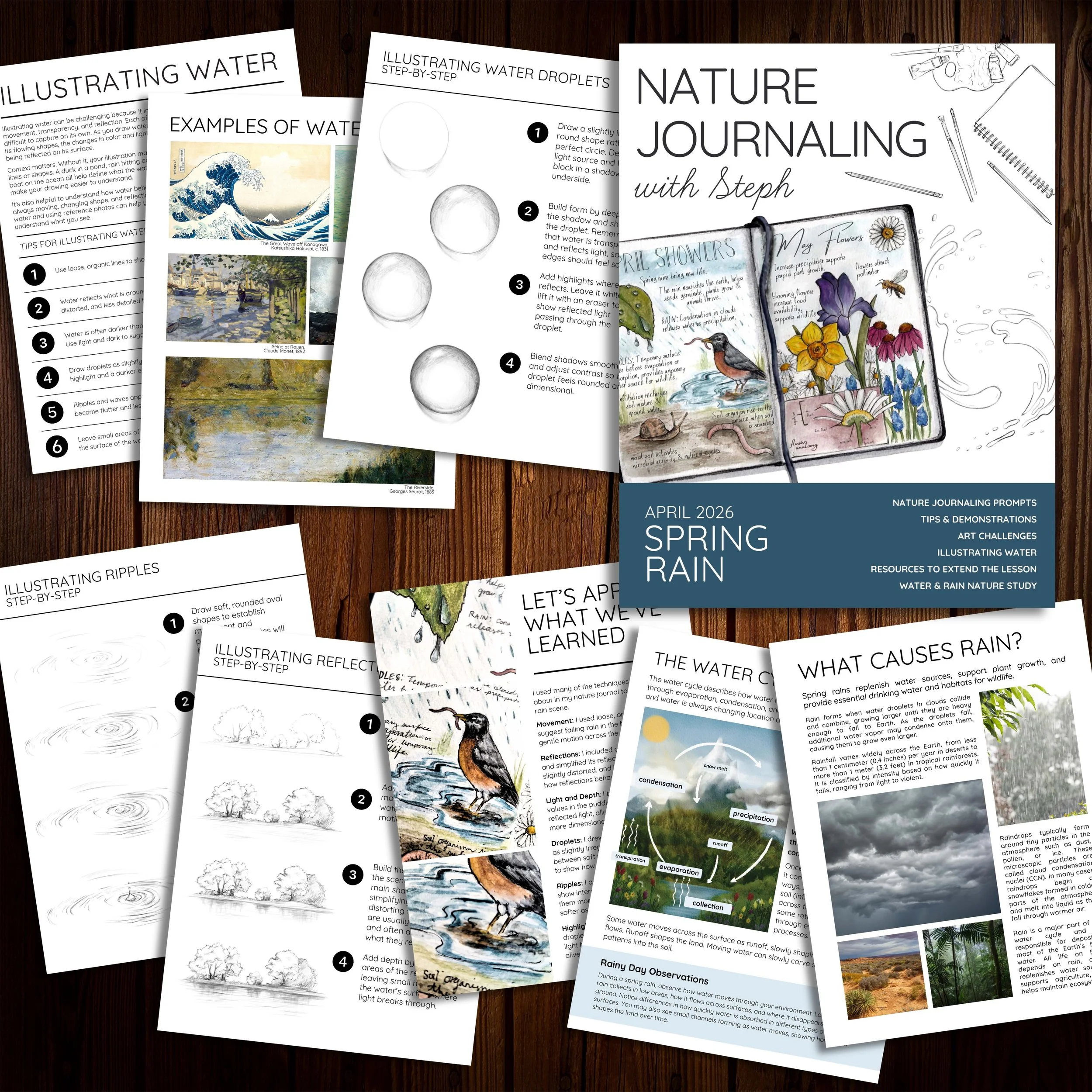  Mock up of spring rains nature journaling lesson.  