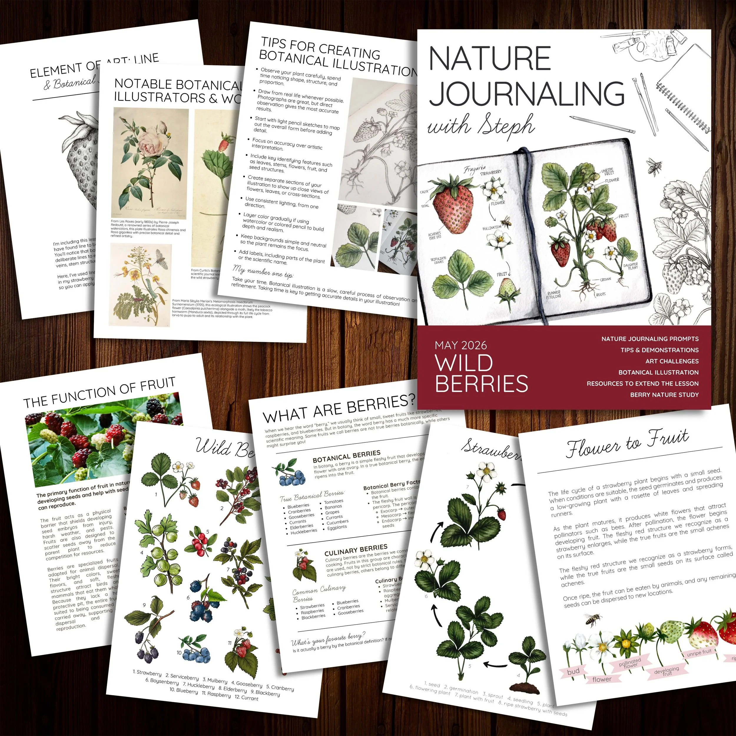 Preview pages from the Wild Berries nature journaling lesson featuring berry illustrations, nature study information, journaling prompts, and art activities.