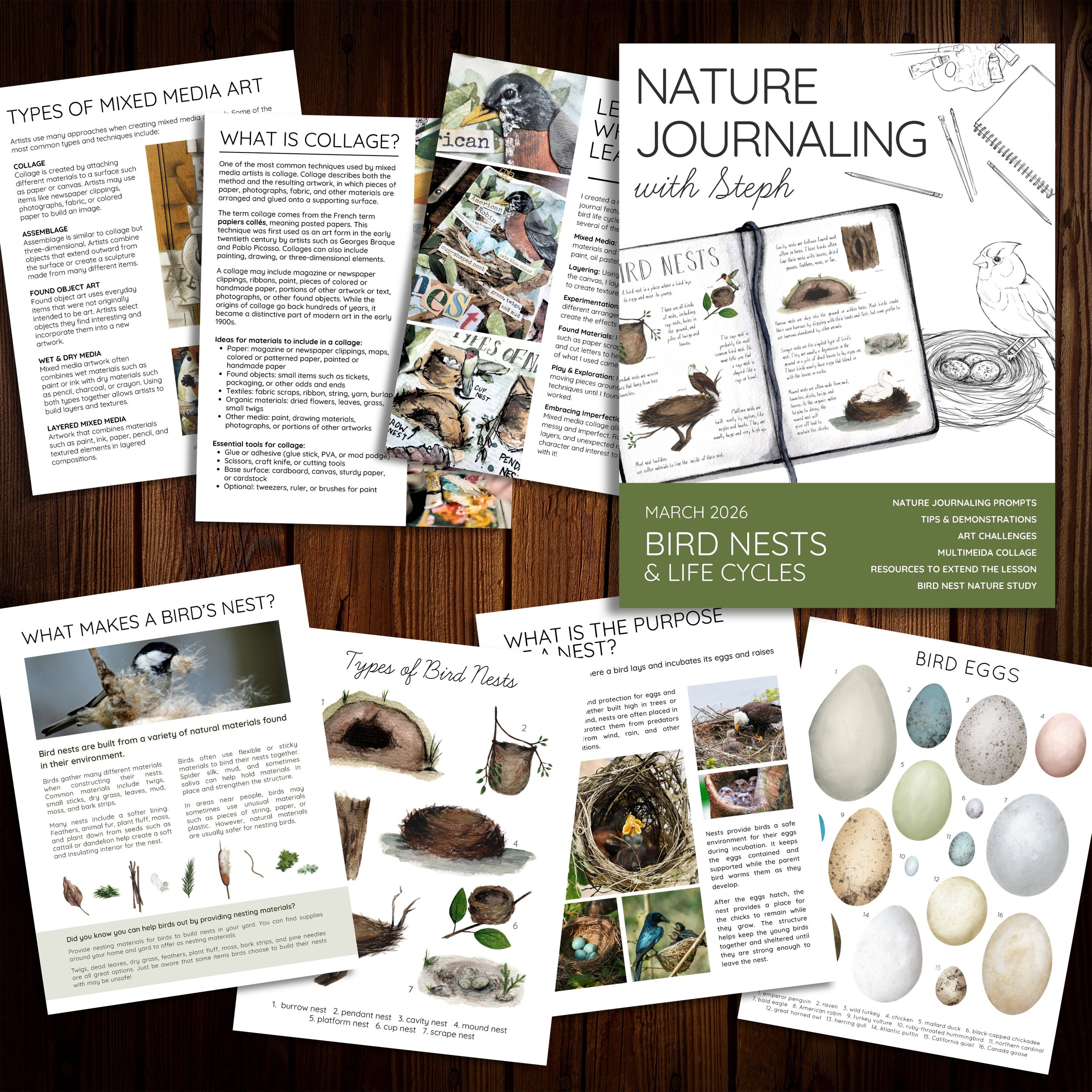 Mock up of nature journaling with steph lesson featuring birds nests and mixed media art.