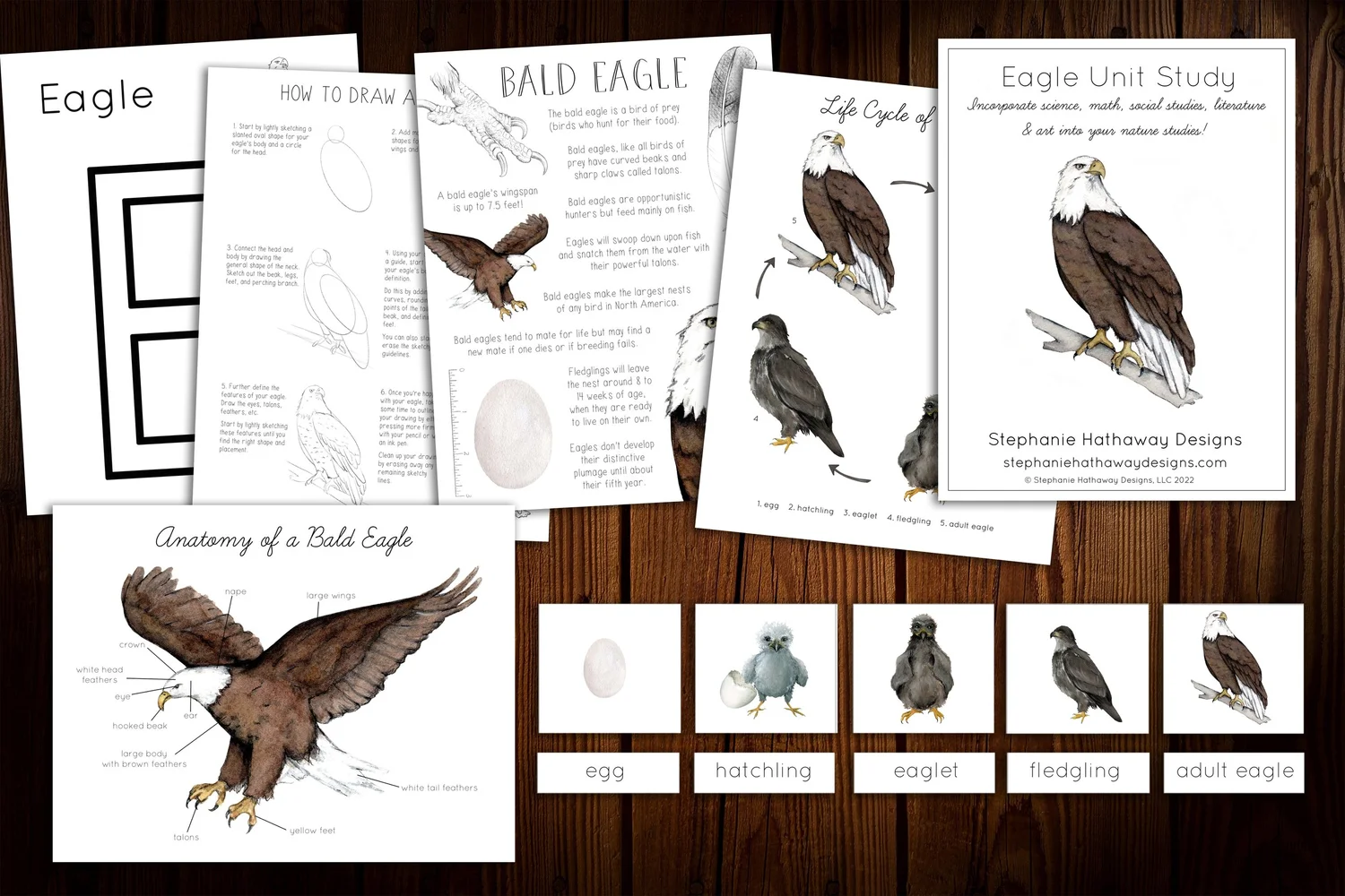Nature Study Bundles & Collections | Stephanie Hathaway Designs ...