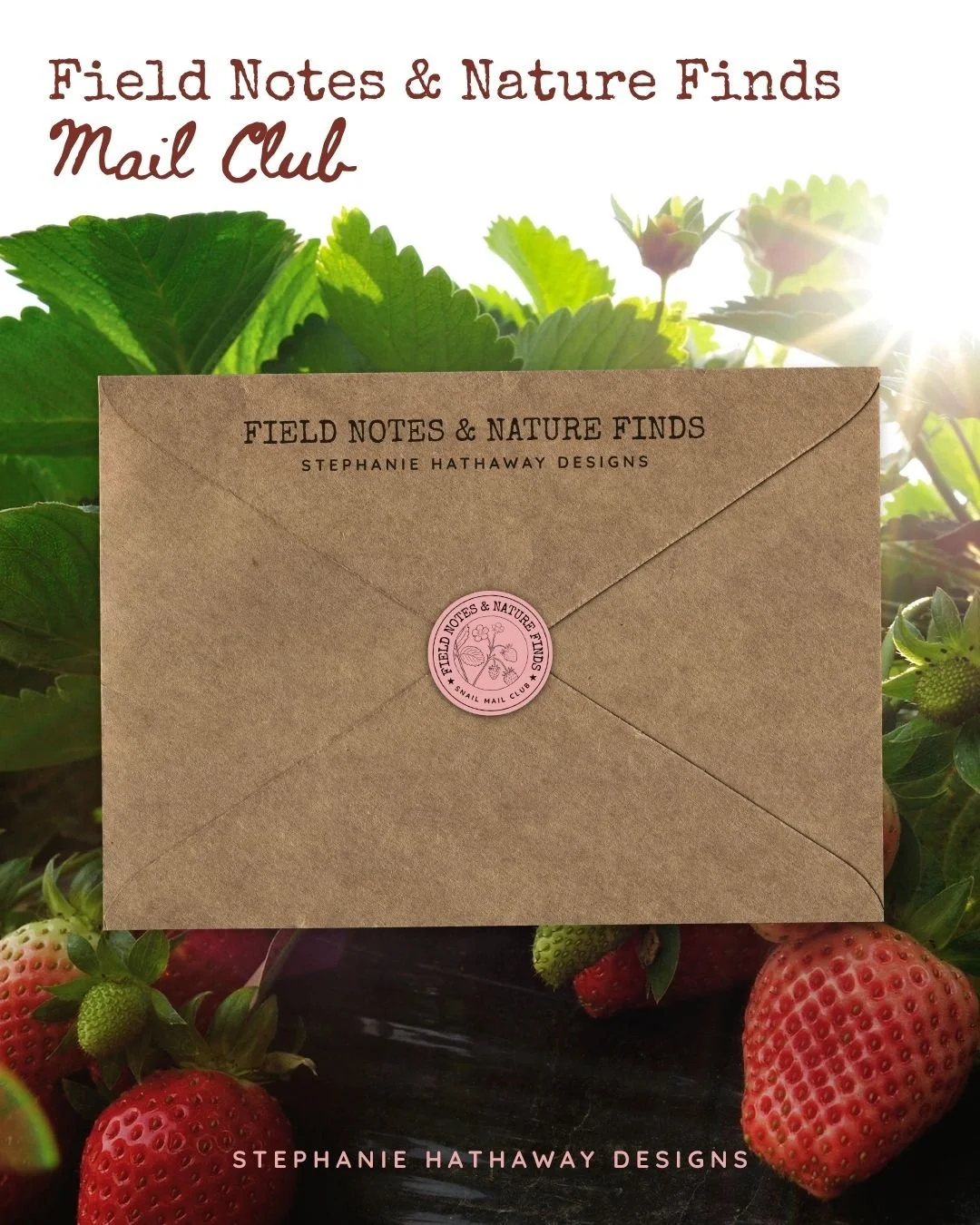 Field Notes & Nature Finds Snail Mail Club