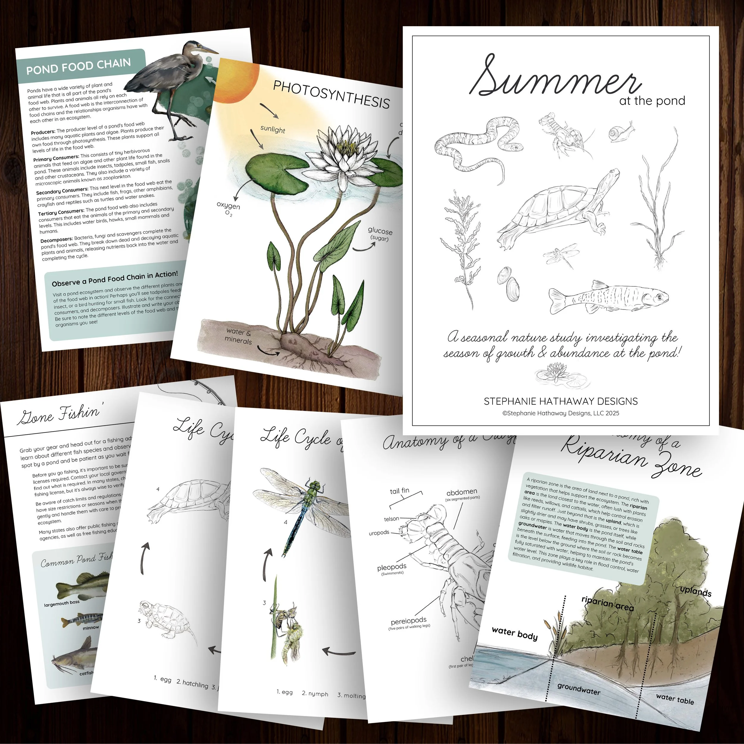 Summer Promo Image Square.jpg