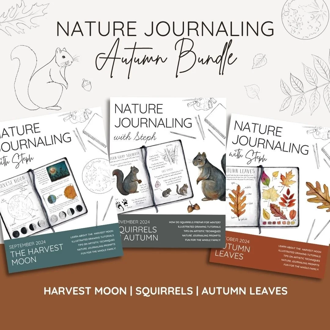 Nature Journaling Autumn 2024 Bundle