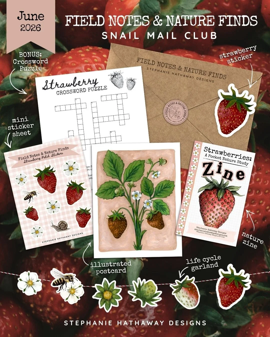 Strawberry Mockup Labeled.jpg