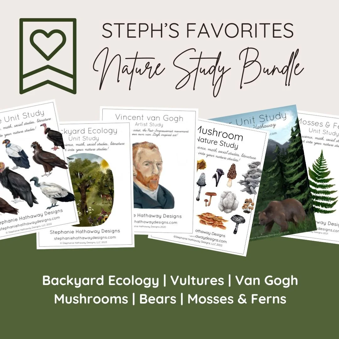 Bundle cover image showing sample pages from six nature and art studies, including backyard ecology, bears, mushrooms, mosses and ferns, vultures, and a Van Gogh artist study.
